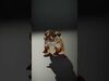 Wild Realism Animal Models Pack 3D Model Collection_15