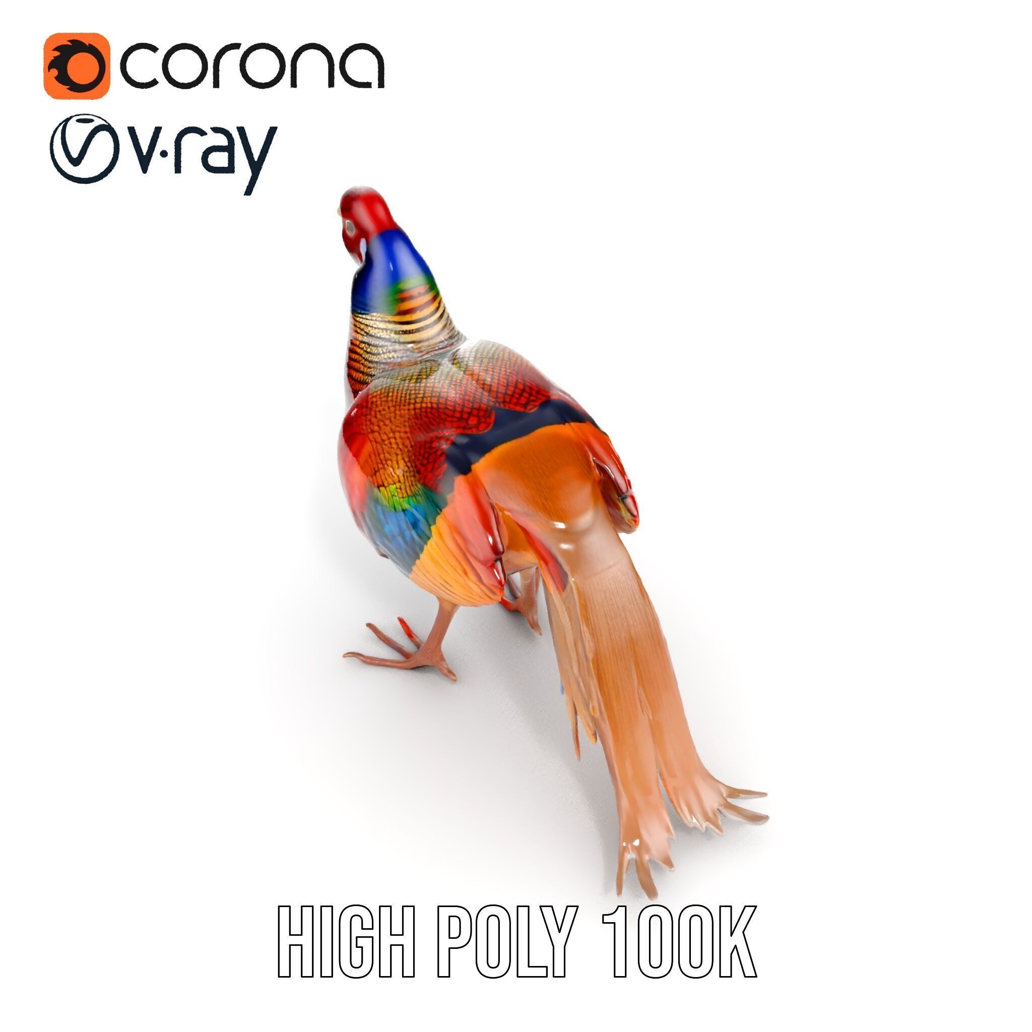 Colorful Pheasant D Model Pack Low-poly 3D model_25