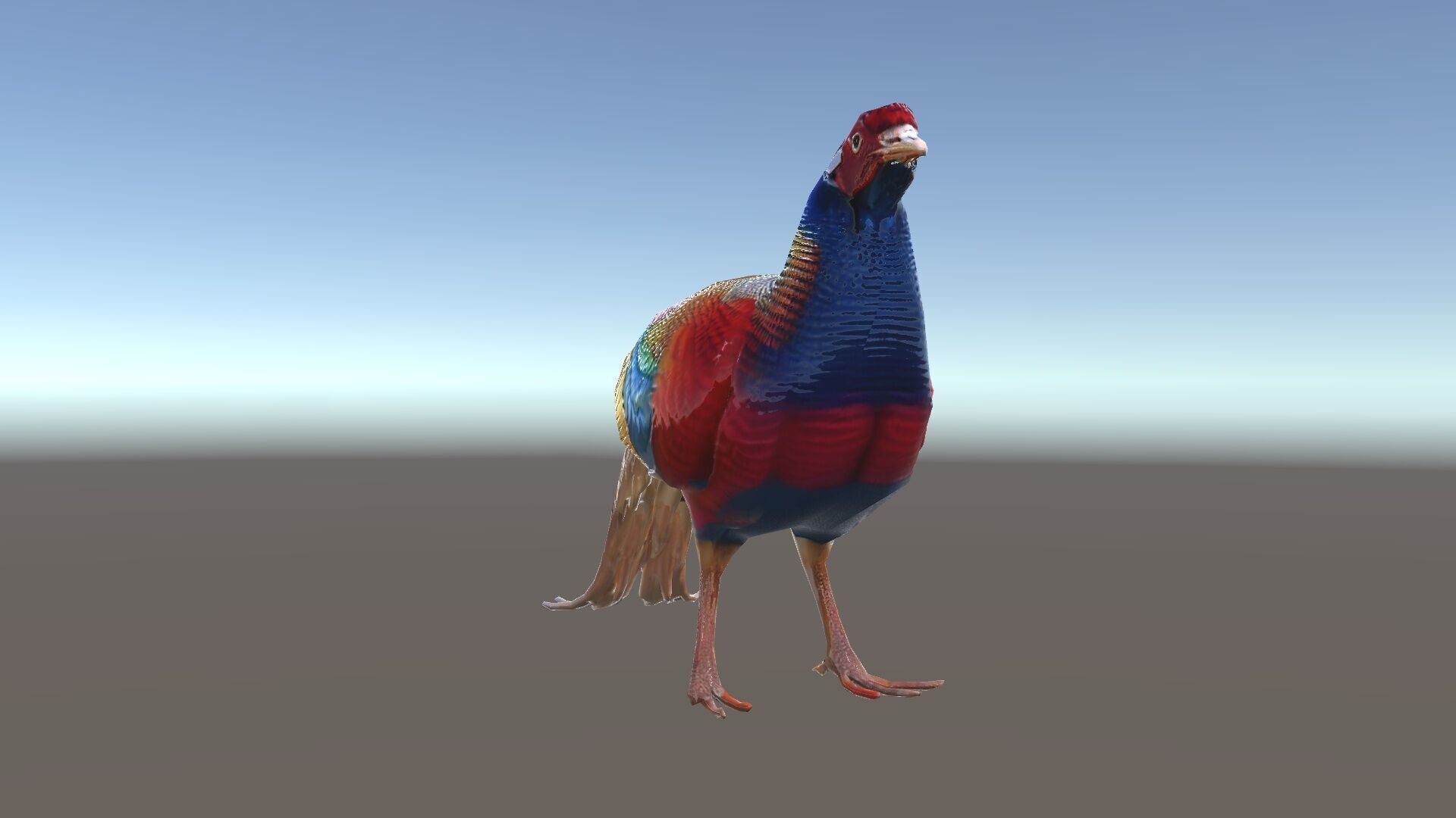 Colorful Pheasant D Model Pack Low-poly 3D model_36