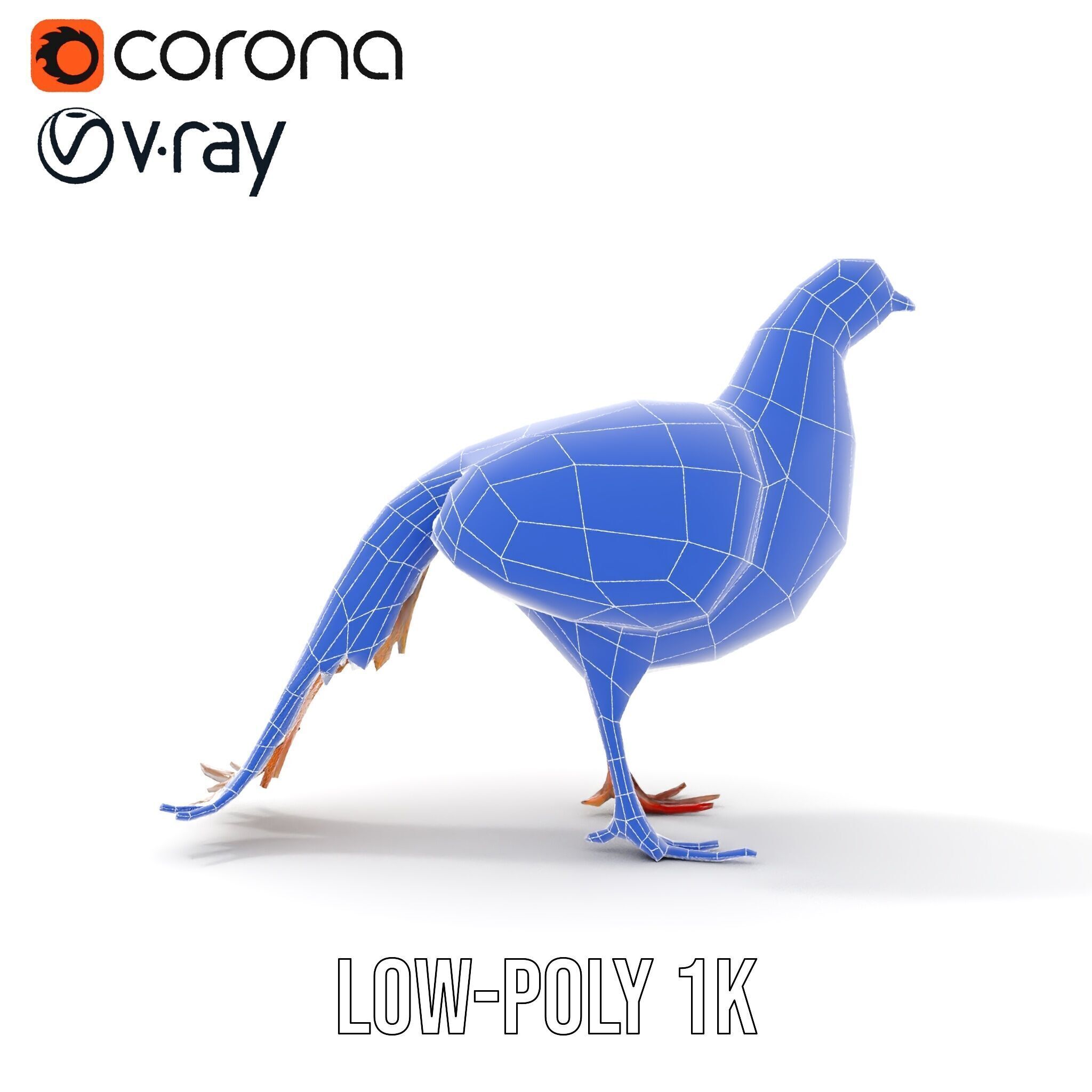 Colorful Pheasant D Model Pack Low-poly 3D model_30