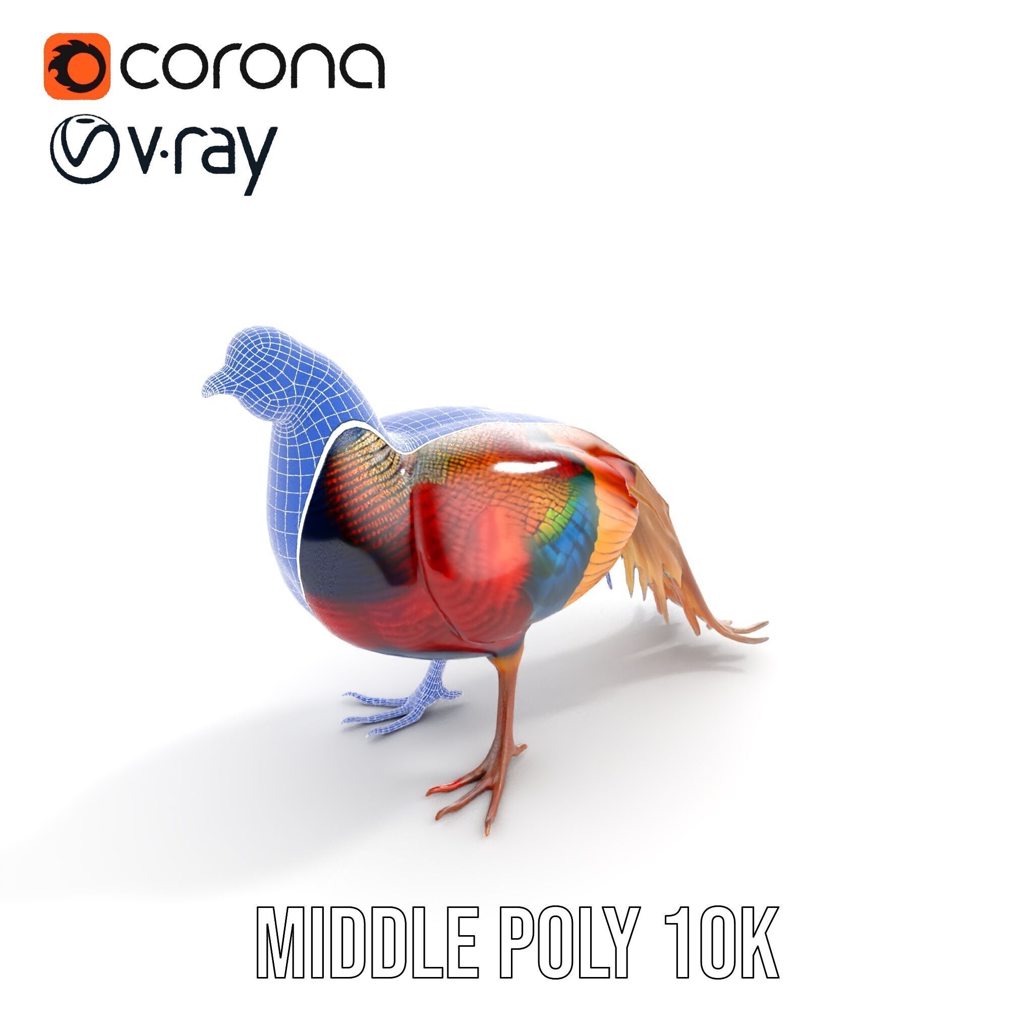 Colorful Pheasant D Model Pack Low-poly 3D model_13