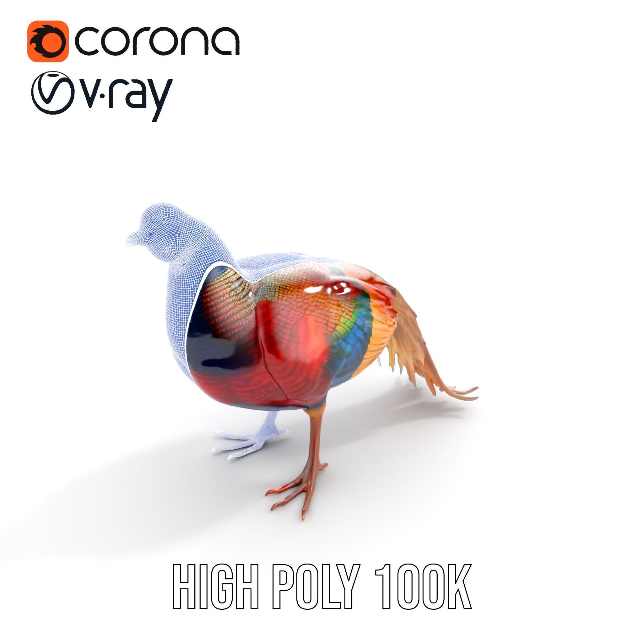 Colorful Pheasant D Model Pack Low-poly 3D model_34