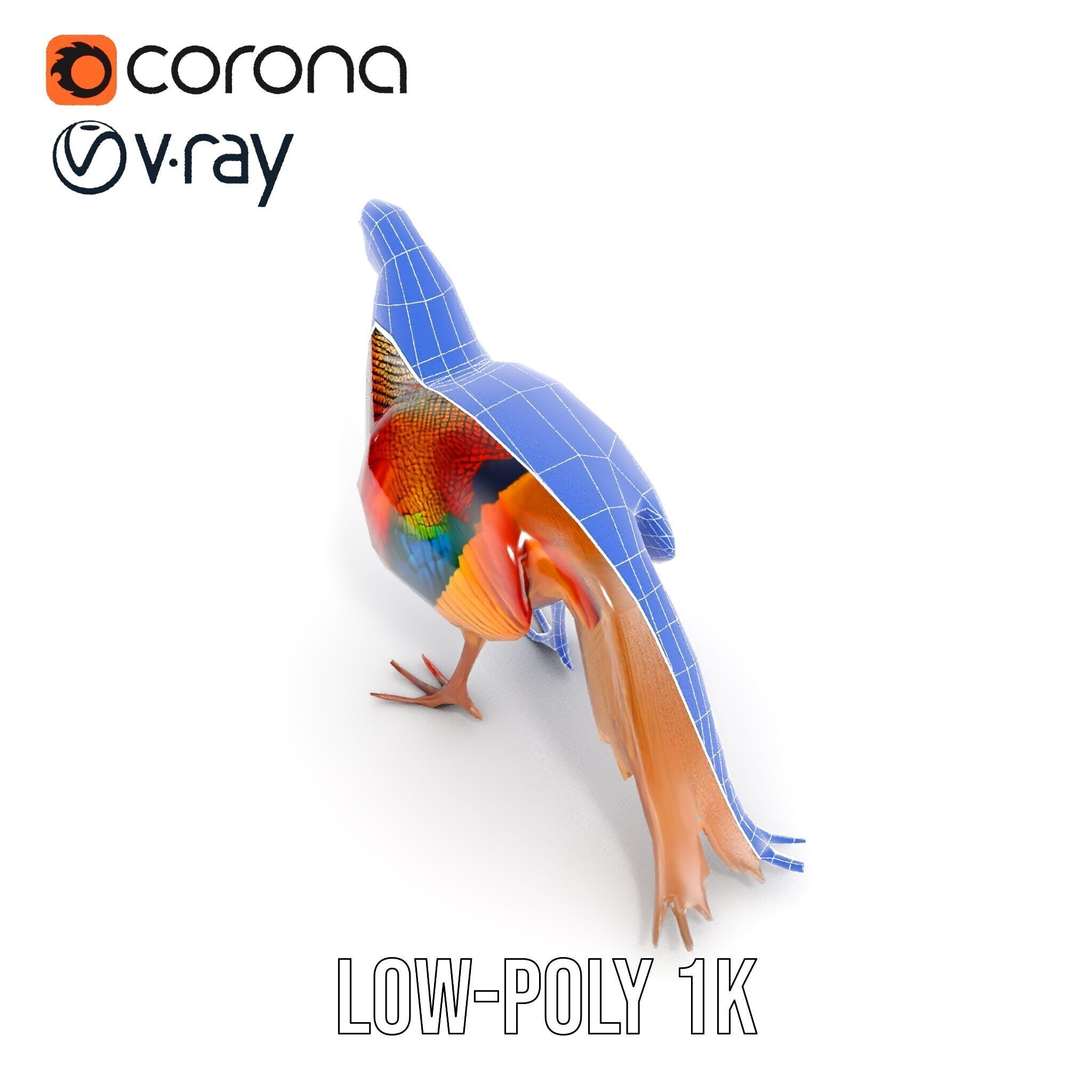 Colorful Pheasant D Model Pack Low-poly 3D model_19