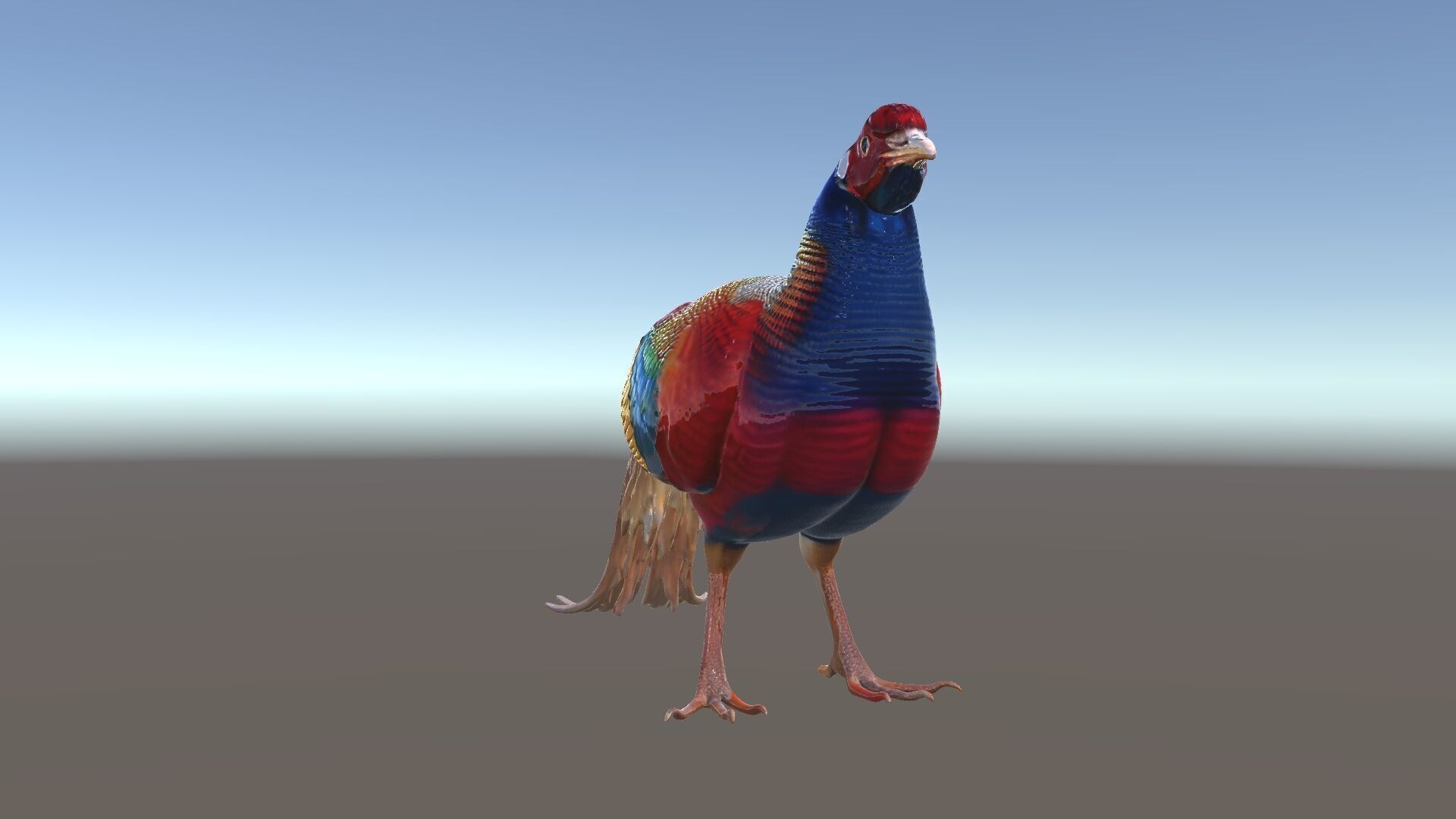 Colorful Pheasant D Model Pack Low-poly 3D model_6