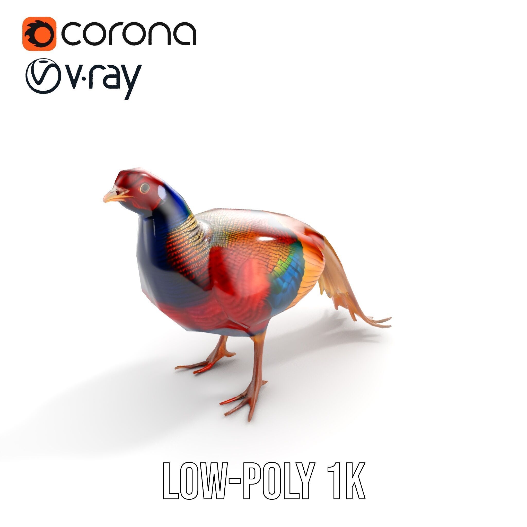 Colorful Pheasant D Model Pack Low-poly 3D model_17