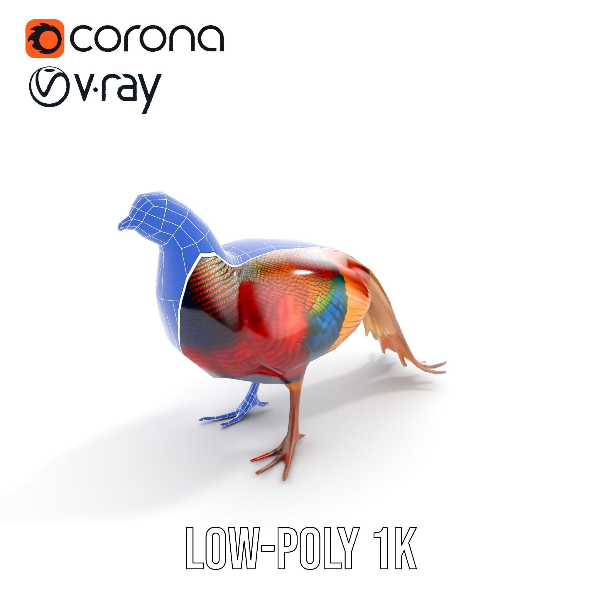 Colorful Pheasant D Model Pack Low-poly 3D model_14