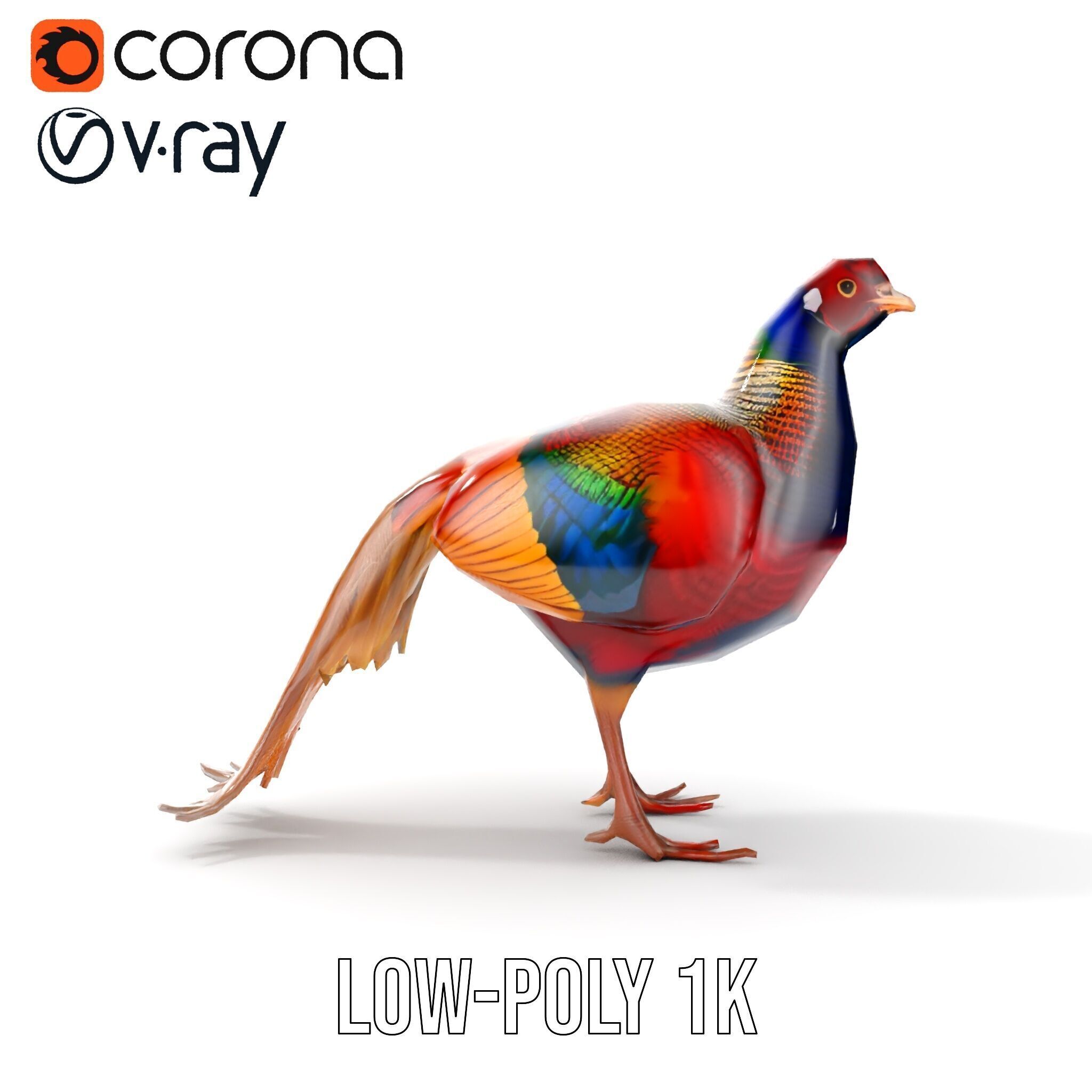 Colorful Pheasant D Model Pack Low-poly 3D model_27