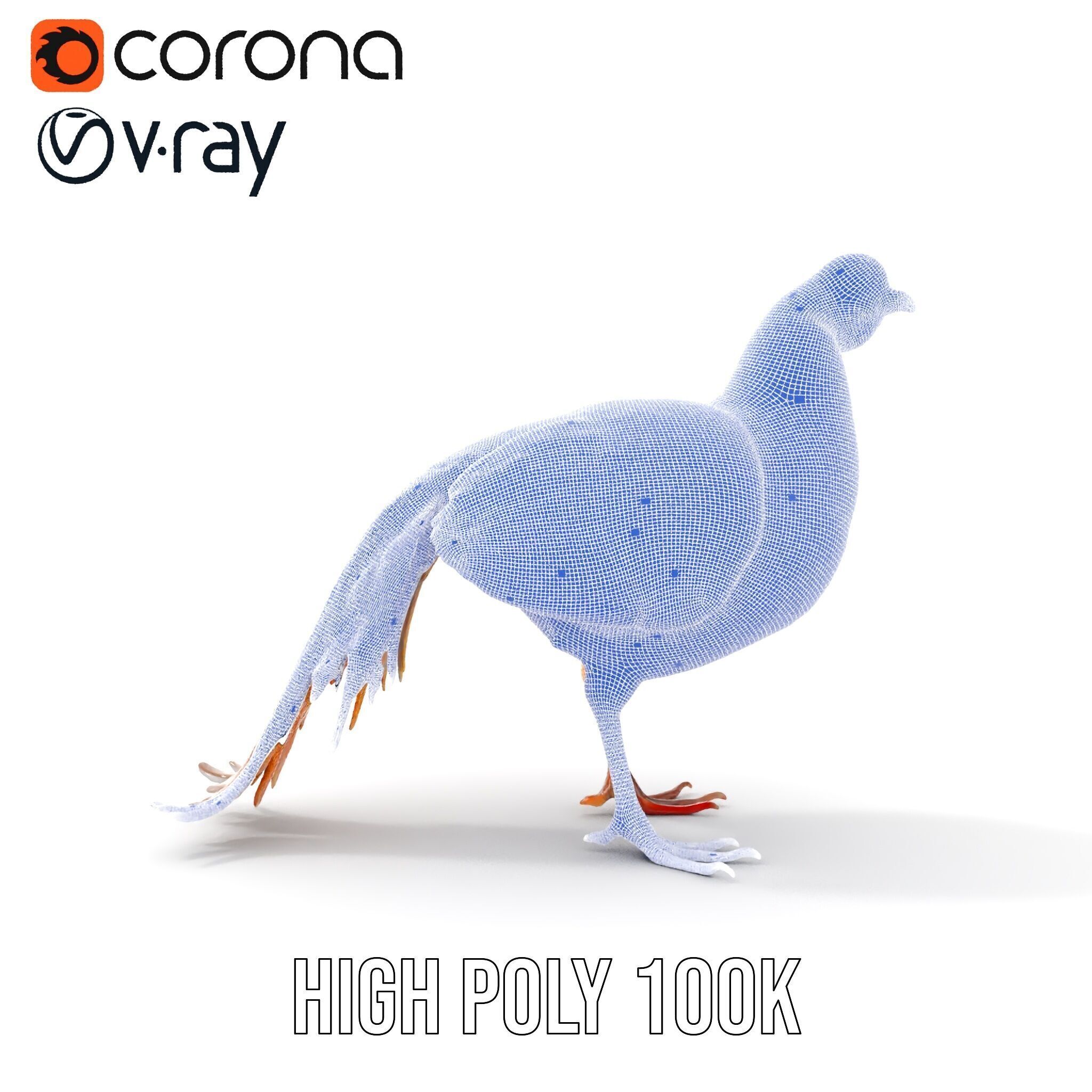 Colorful Pheasant D Model Pack Low-poly 3D model_39