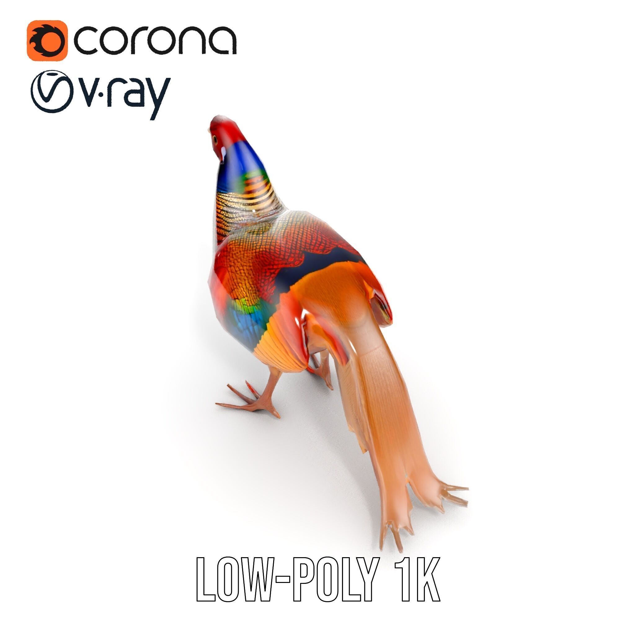 Colorful Pheasant D Model Pack Low-poly 3D model_24