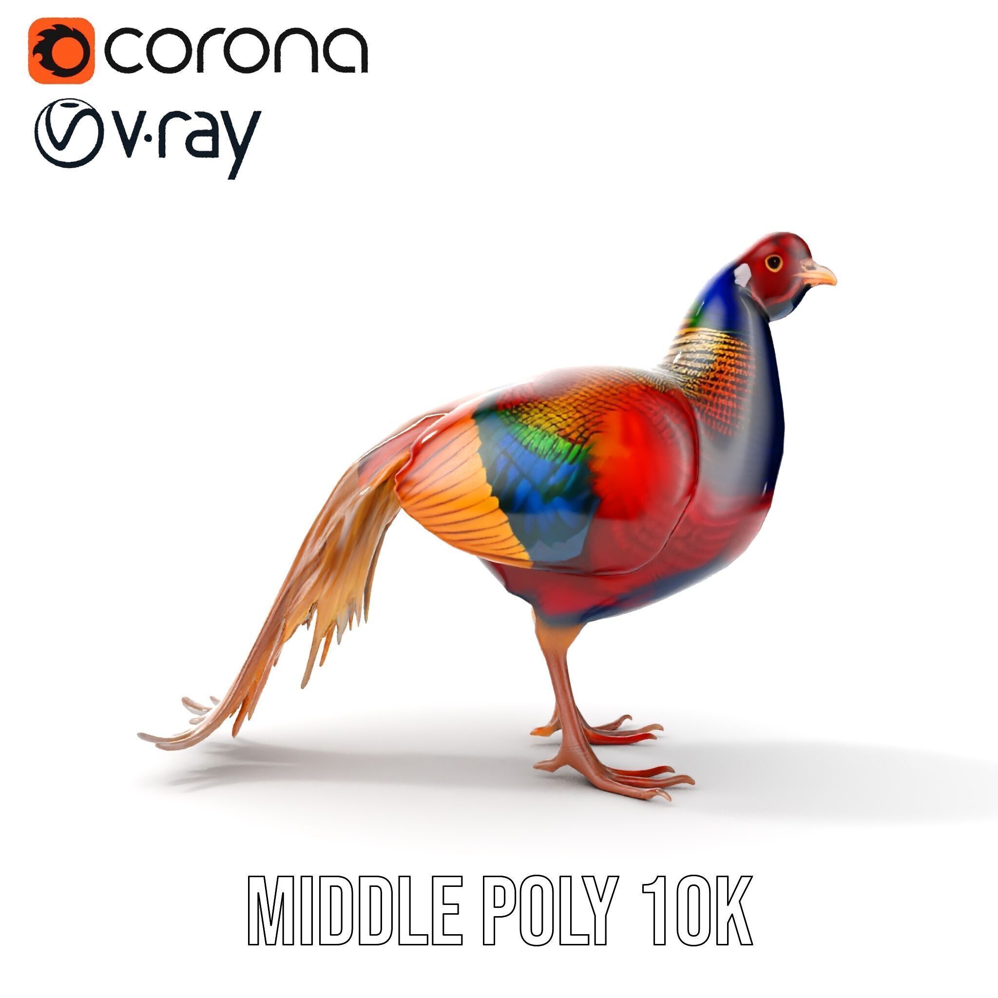 Colorful Pheasant D Model Pack Low-poly 3D model_18