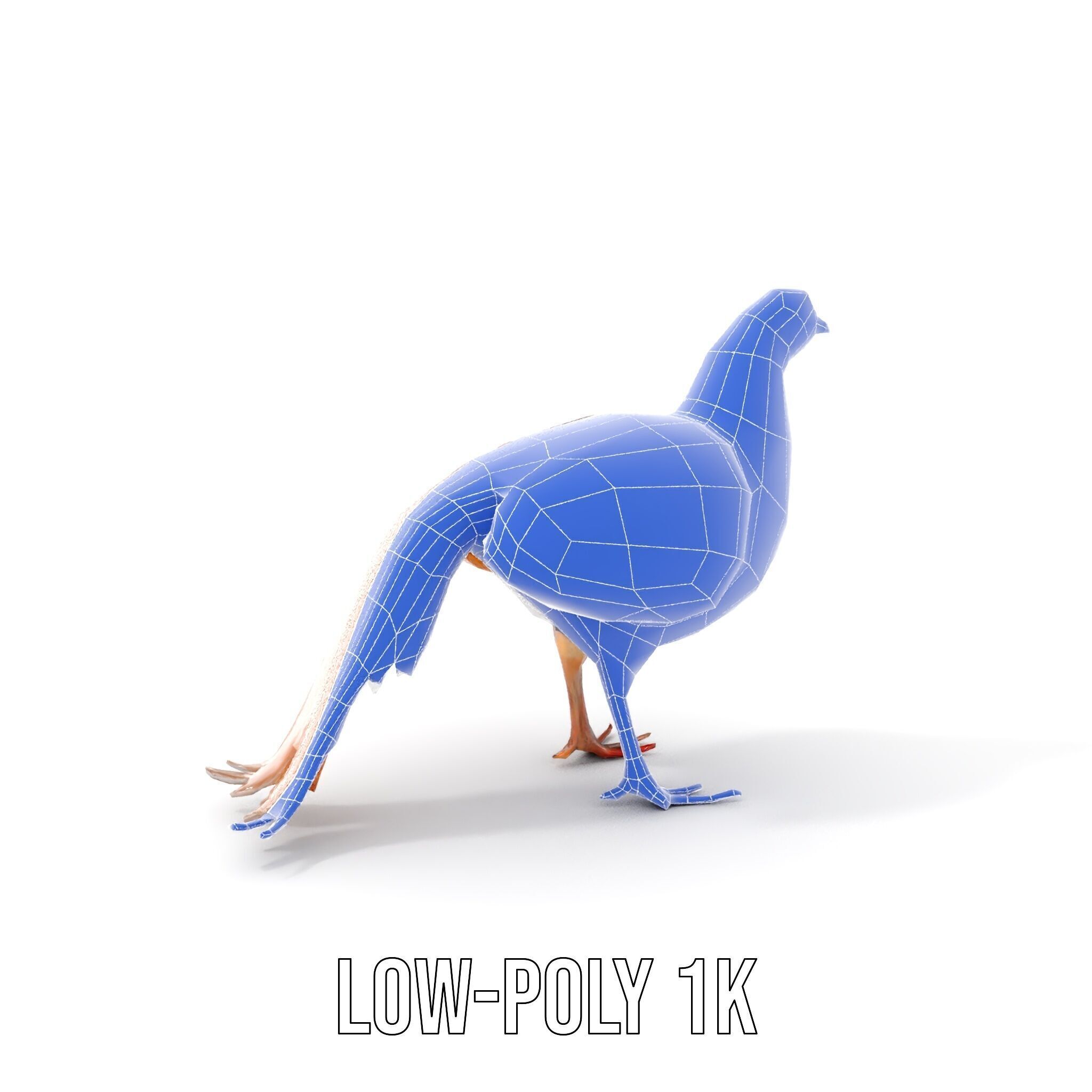 Colorful Pheasant D Model Pack Low-poly 3D model_11