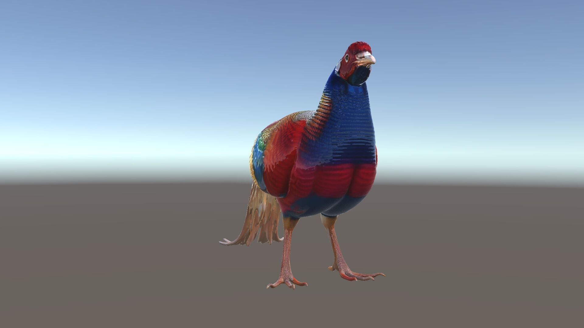Colorful Pheasant D Model Pack Low-poly 3D model_35