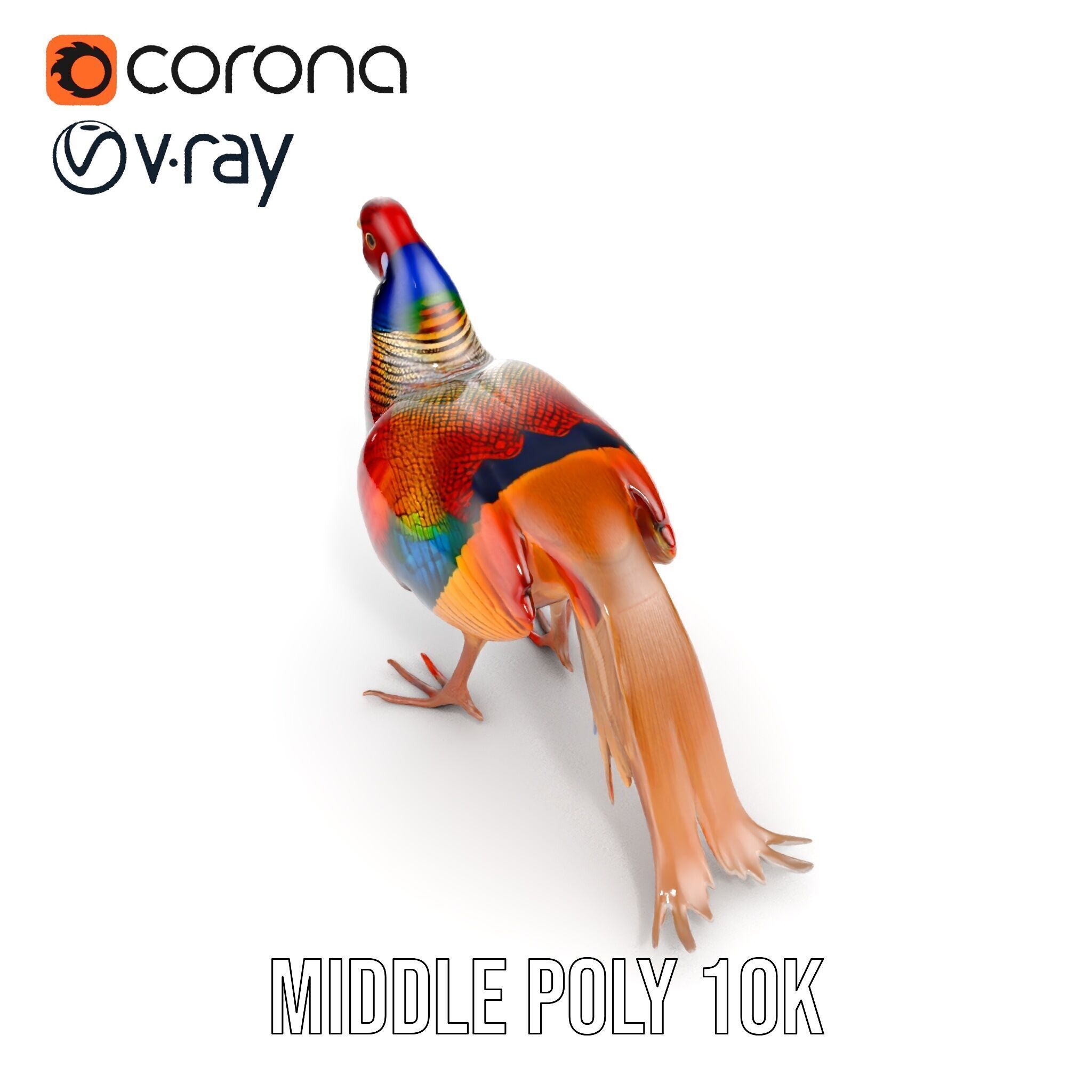 Colorful Pheasant D Model Pack Low-poly 3D model_20