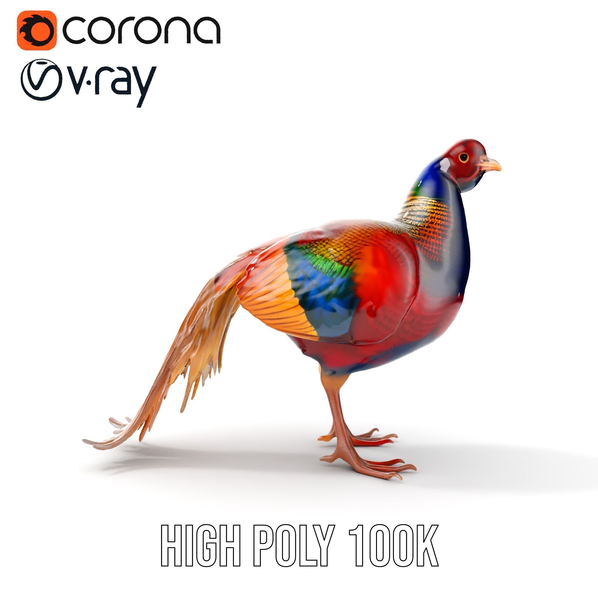 Colorful Pheasant D Model Pack Low-poly 3D model_31