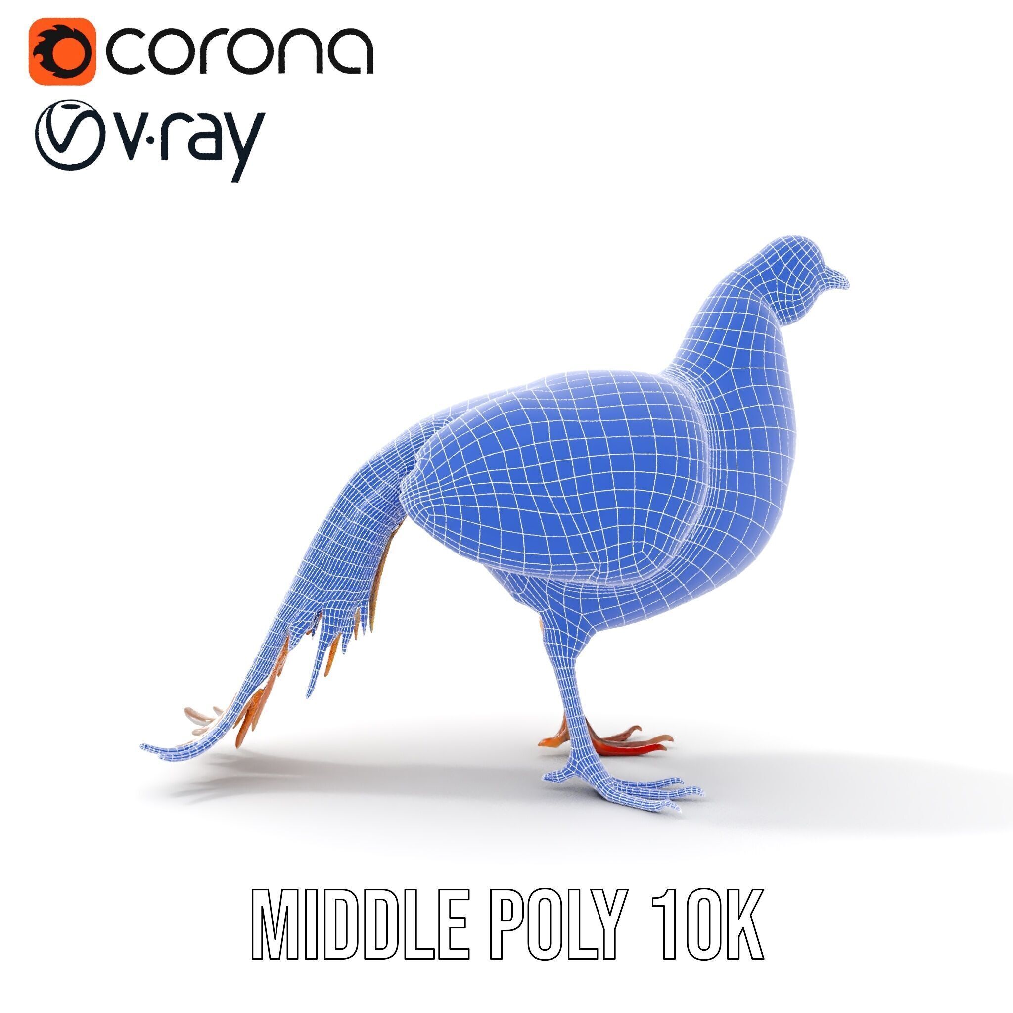 Colorful Pheasant D Model Pack Low-poly 3D model_29