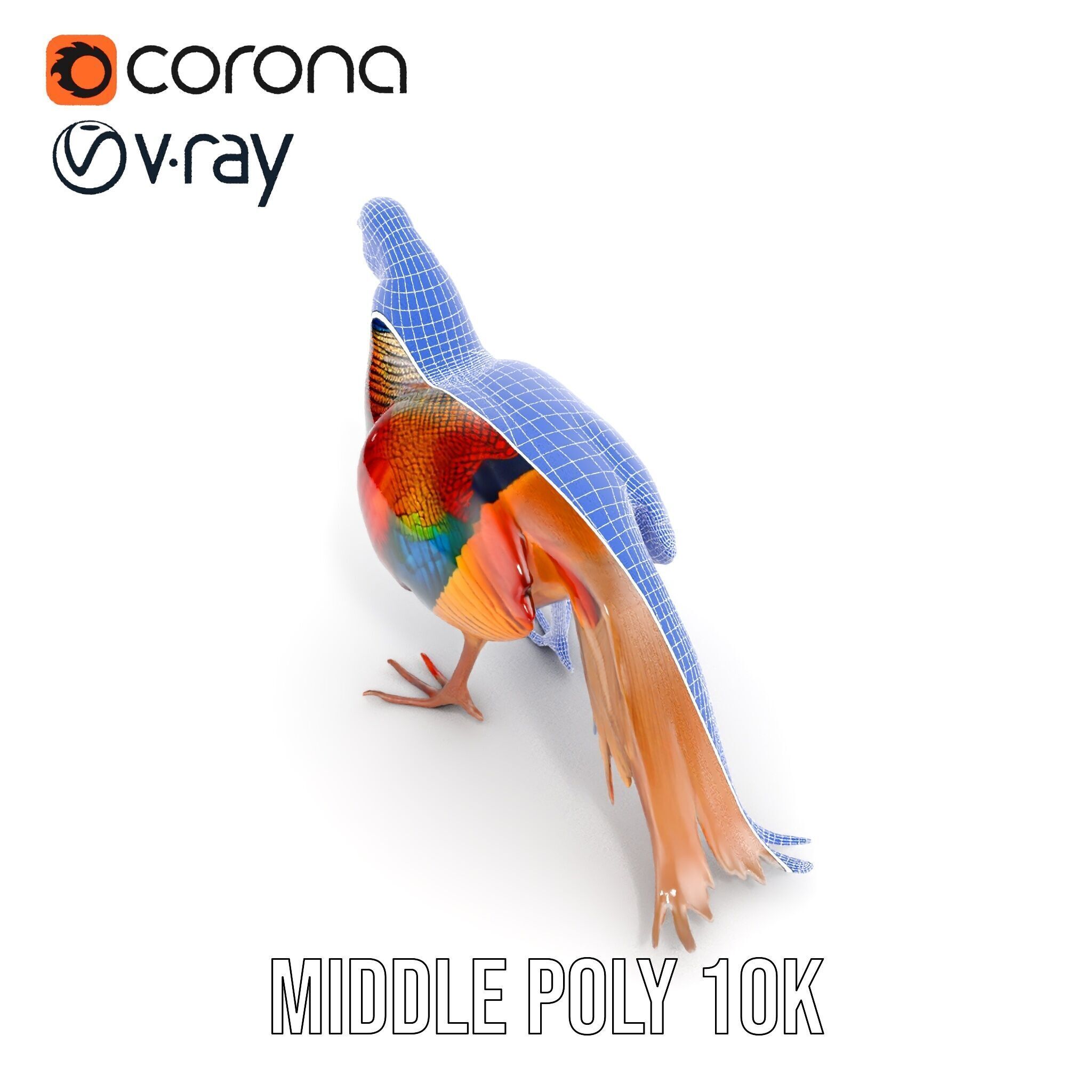 Colorful Pheasant D Model Pack Low-poly 3D model_26
