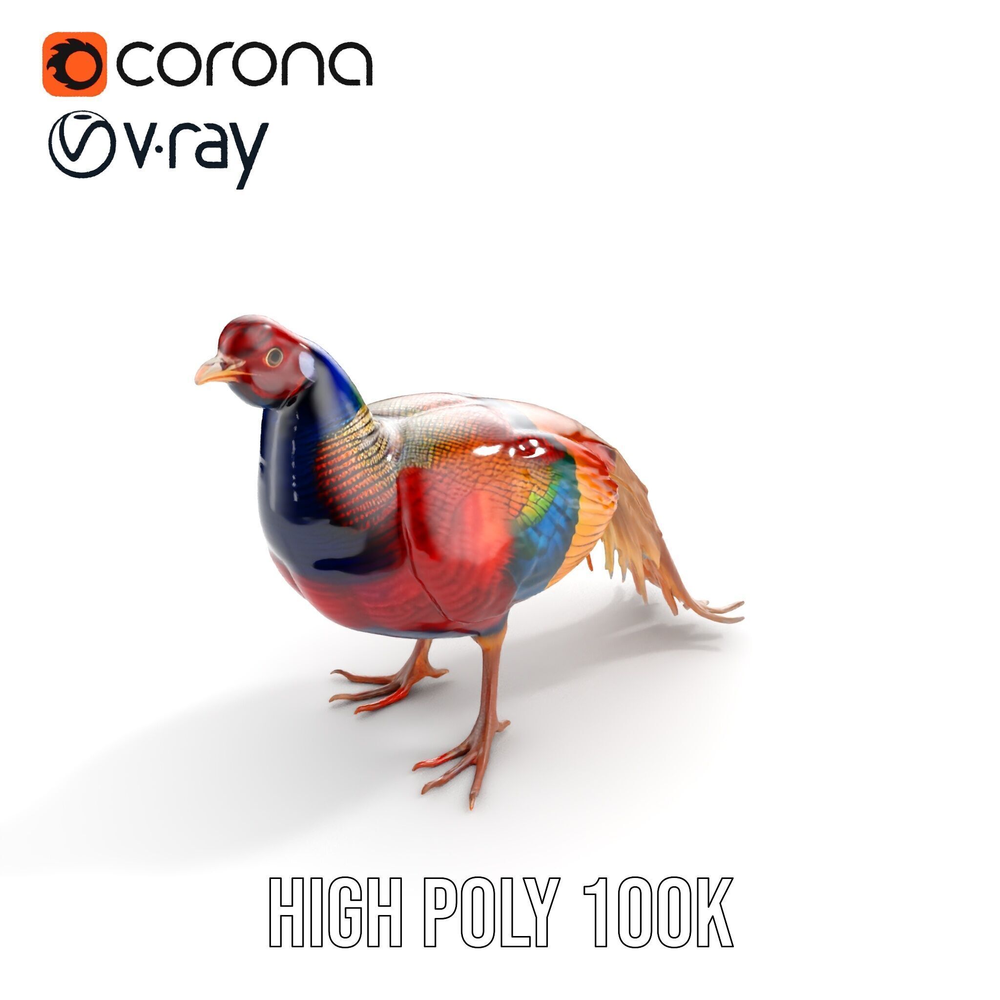 Colorful Pheasant D Model Pack Low-poly 3D model_22
