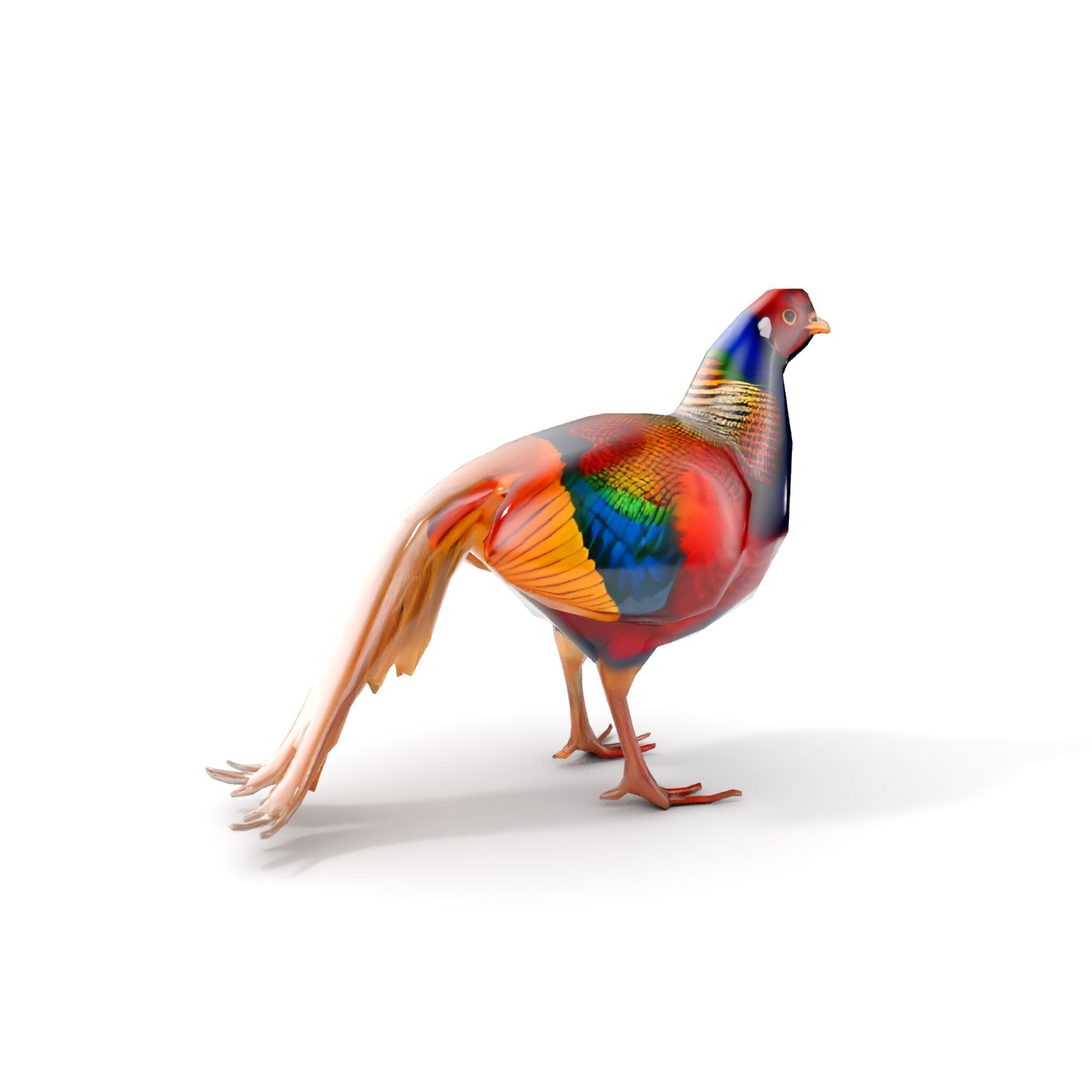 Colorful Pheasant D Model Pack Low-poly 3D model_8