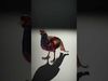 Colorful Pheasant D Model Pack Low-poly 3D model_2
