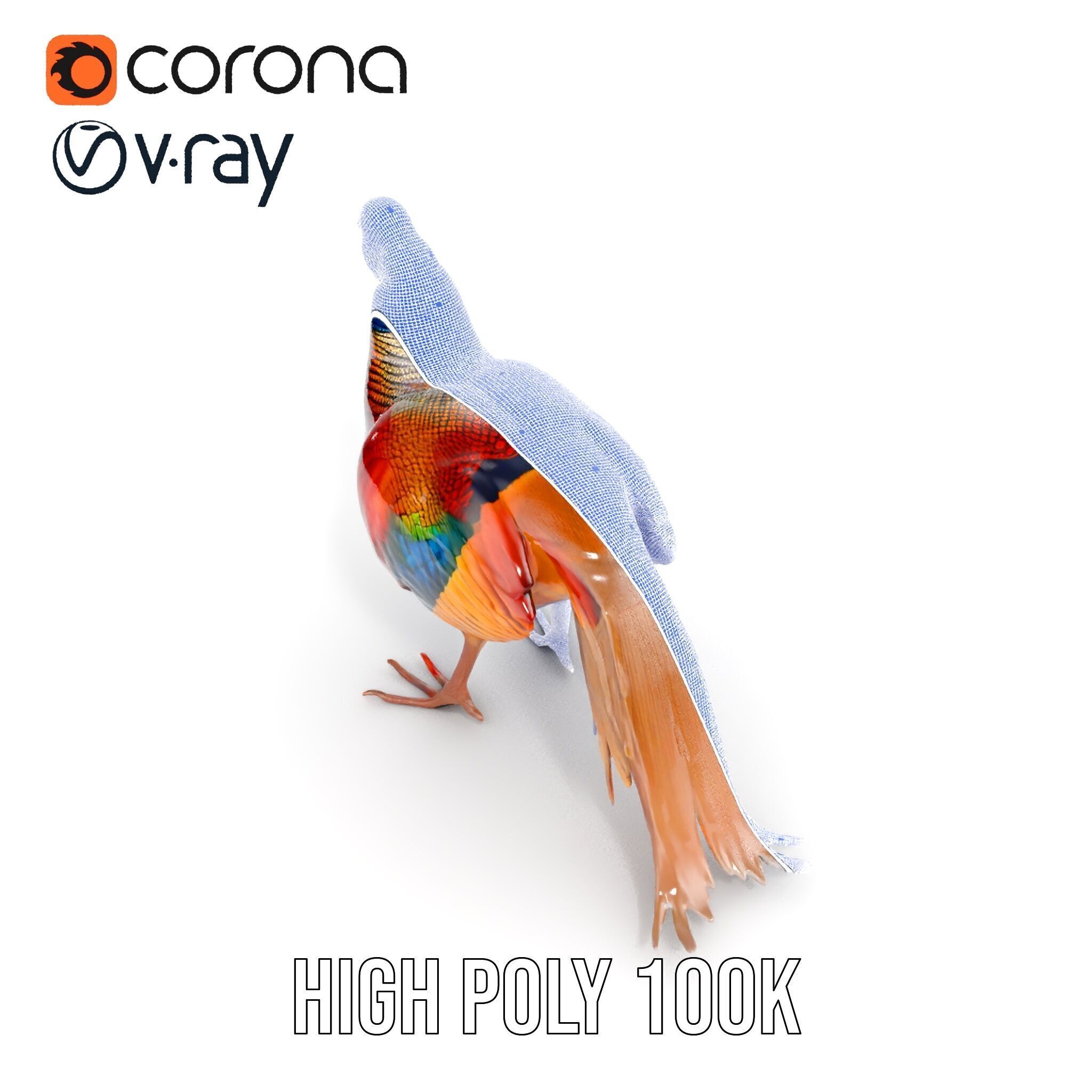 Colorful Pheasant D Model Pack Low-poly 3D model_28