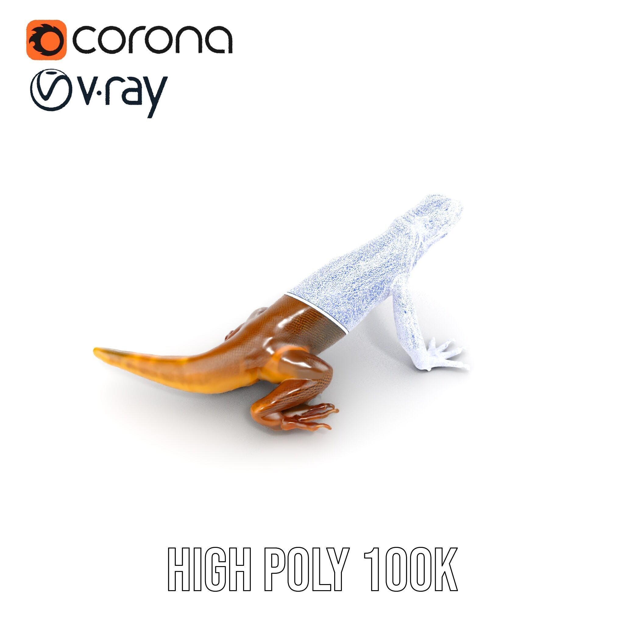 Realistic Lizard D Model Pack for Animation and Games Low-poly 3D model_26