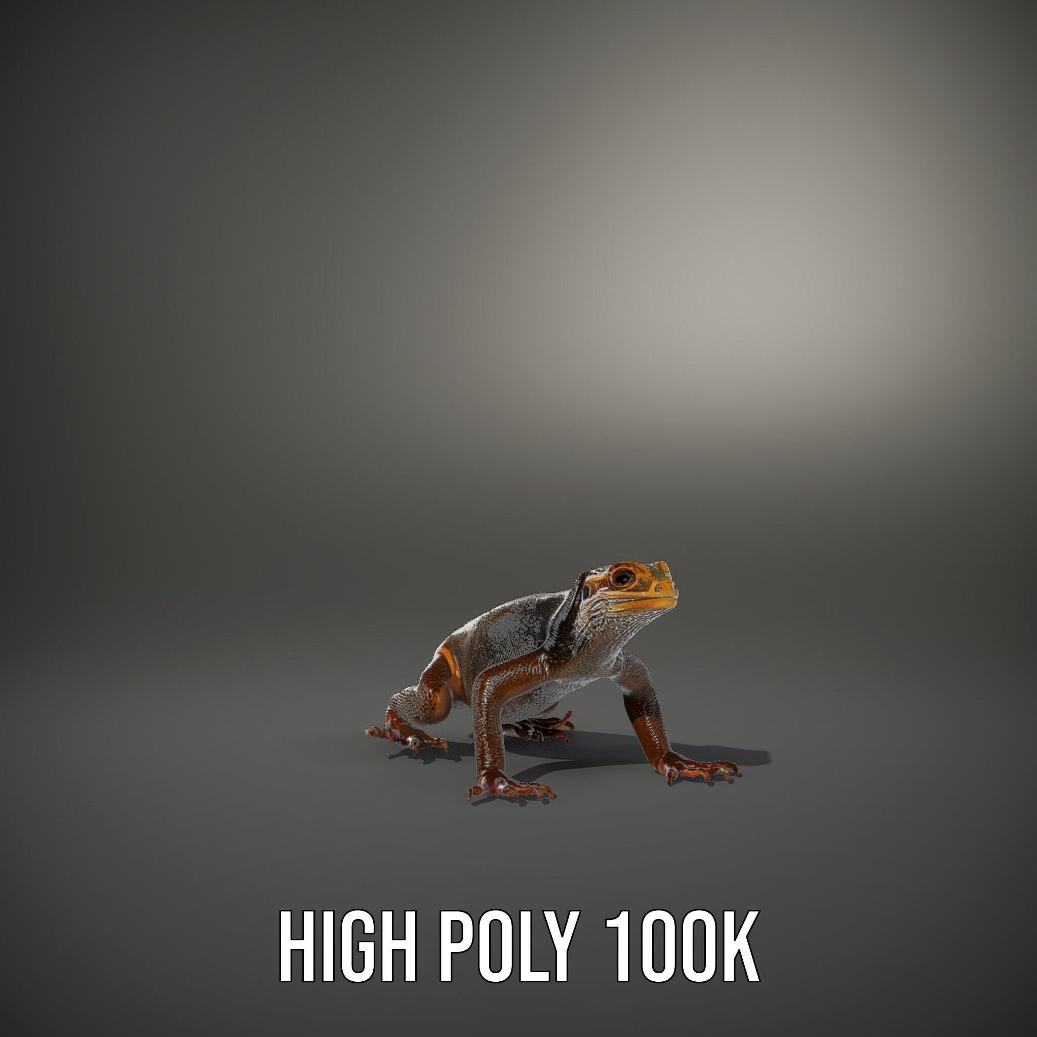 Realistic Lizard D Model Pack for Animation and Games Low-poly 3D model_12