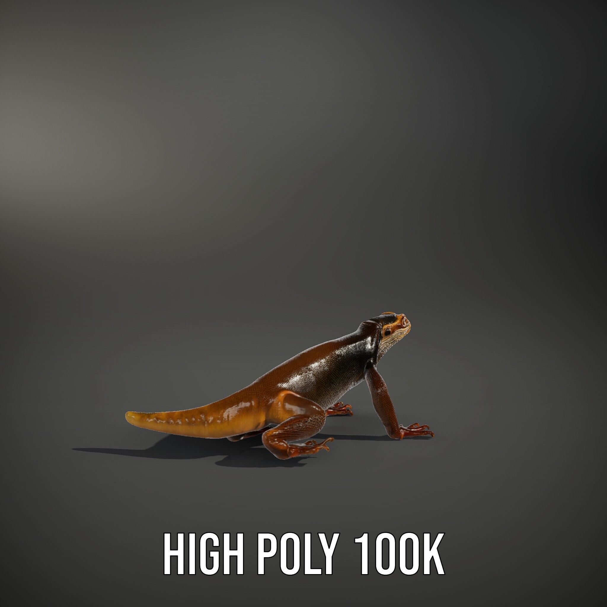 Realistic Lizard D Model Pack for Animation and Games Low-poly 3D model_9