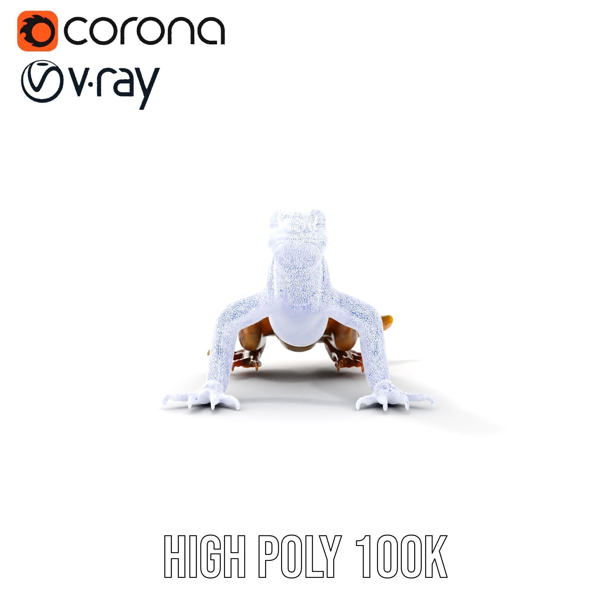 Realistic Lizard D Model Pack for Animation and Games Low-poly 3D model_38