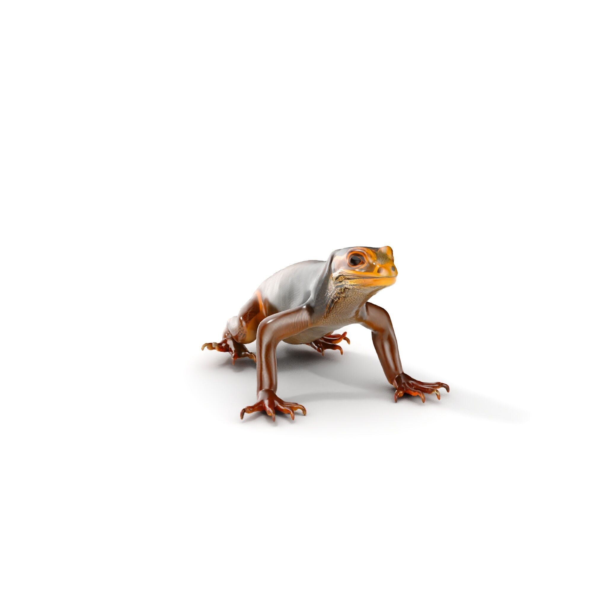 Realistic Lizard D Model Pack for Animation and Games Low-poly 3D model_10
