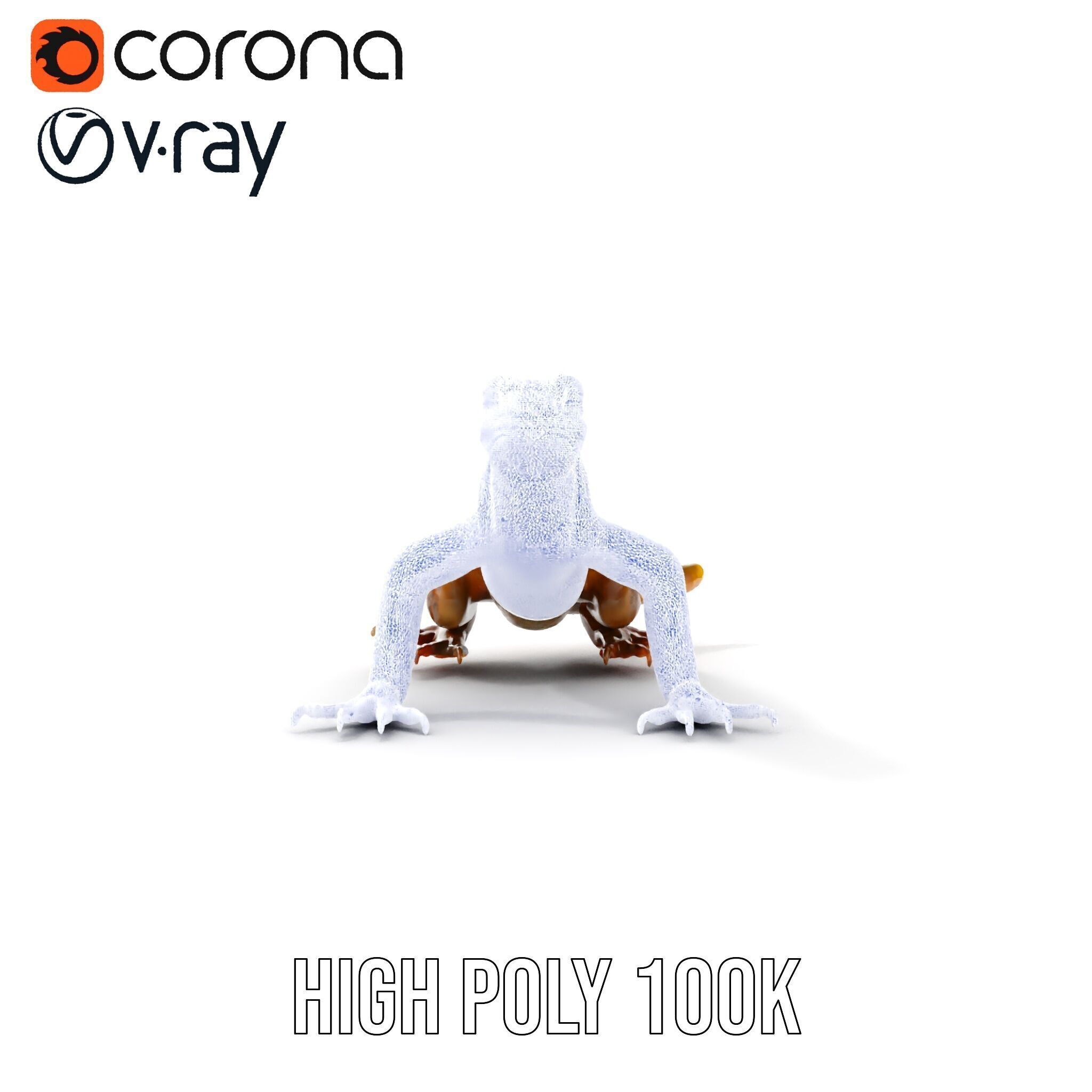 Realistic Lizard D Model Pack for Animation and Games Low-poly 3D model_24