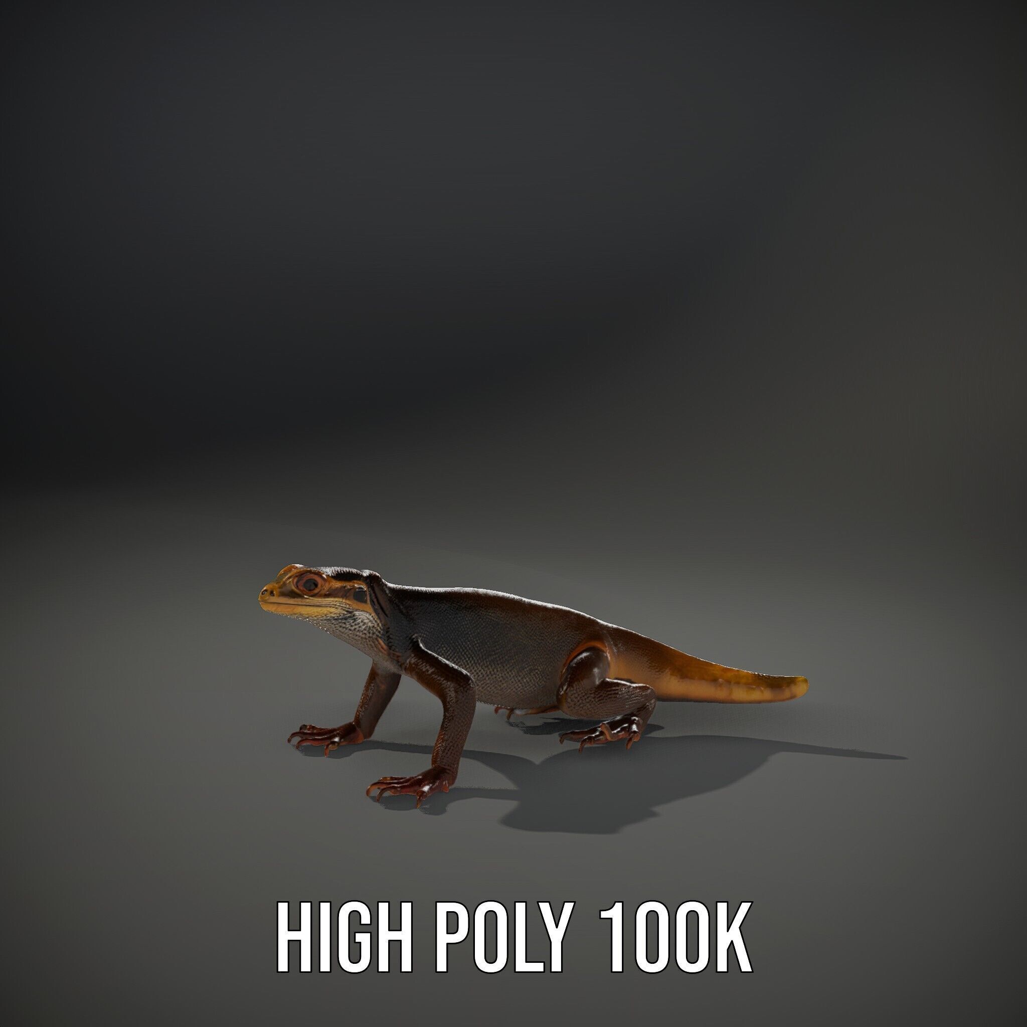 Realistic Lizard D Model Pack for Animation and Games Low-poly 3D model_15