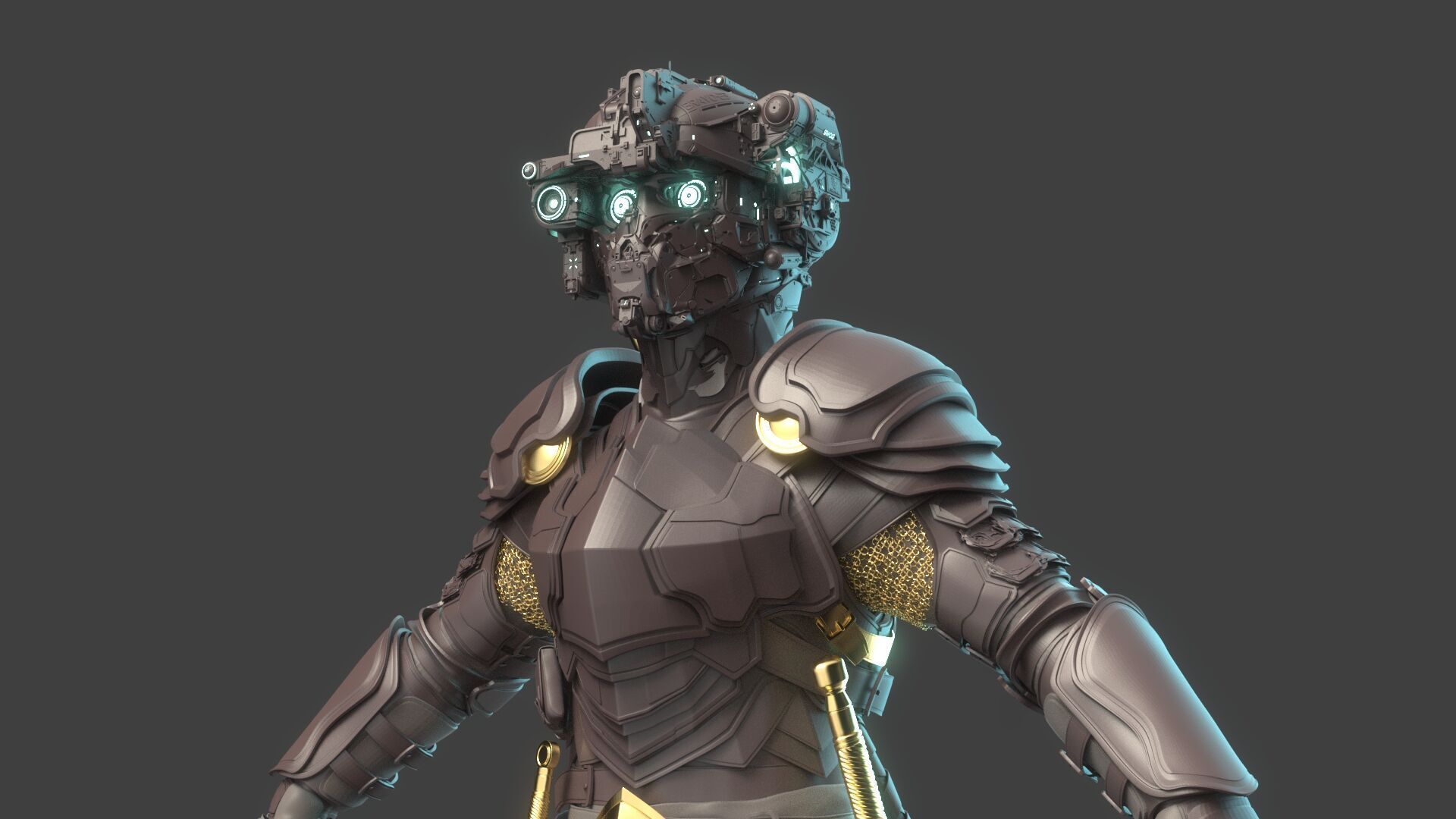 Robot Warrior 3D model_5