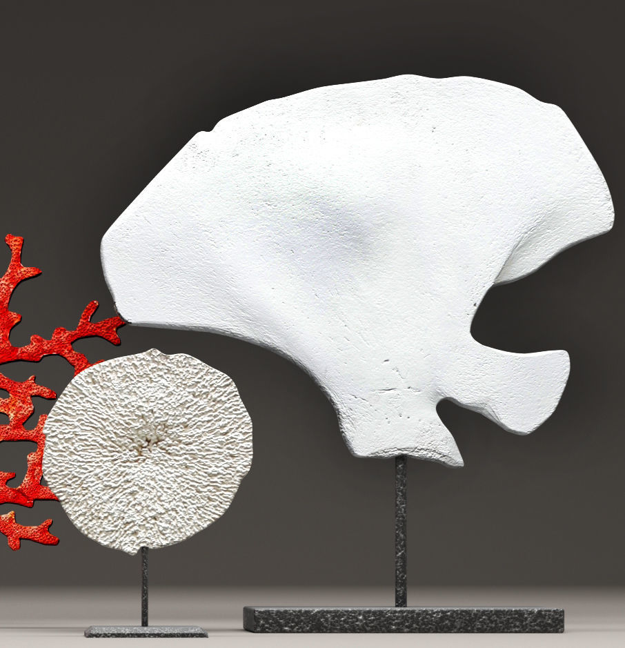 Coral set three sculptures 3D model_6