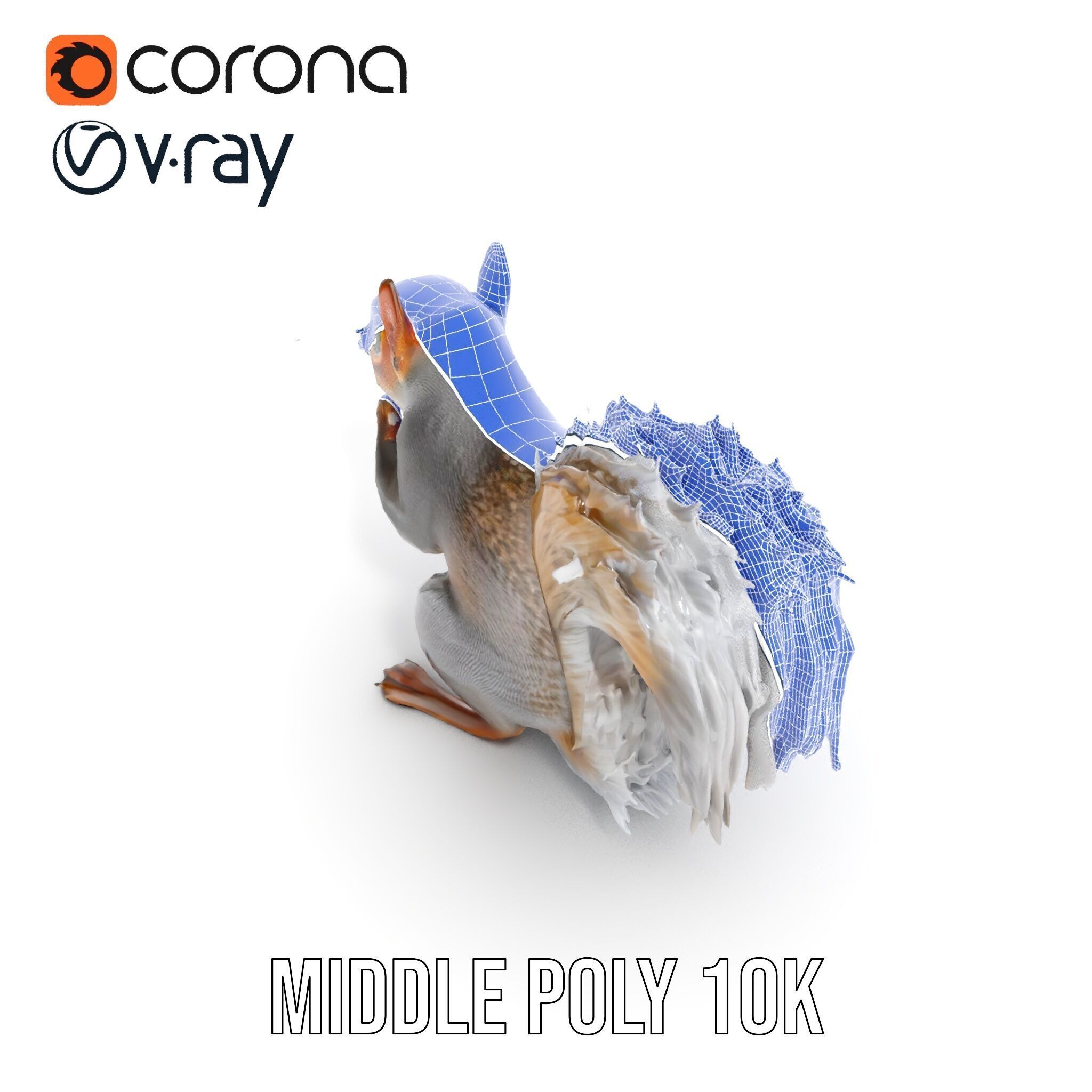 Squirrel Model Pack  Detailed D Animal Model Collection Low-poly 3D model_28