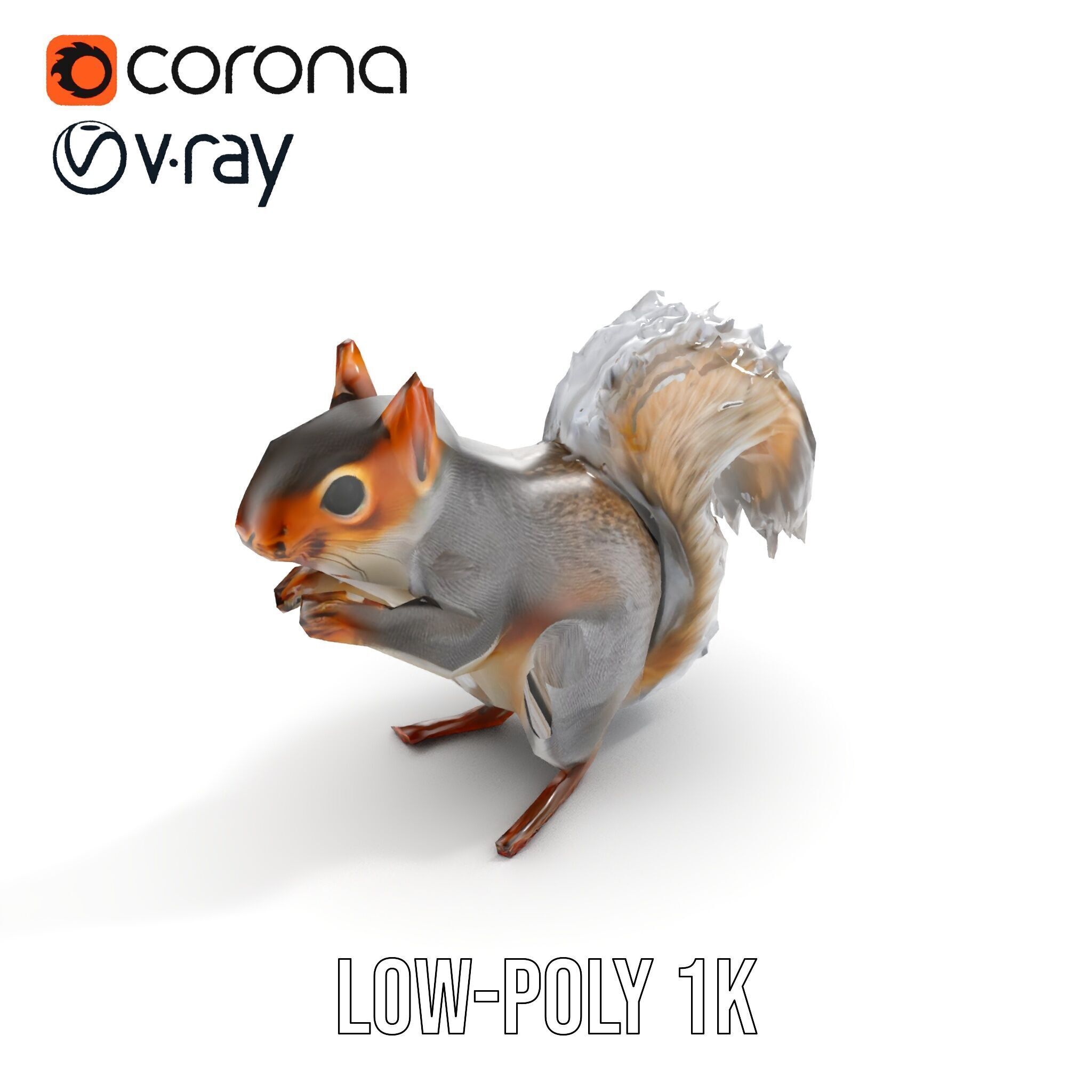 Squirrel Model Pack  Detailed D Animal Model Collection Low-poly 3D model_13