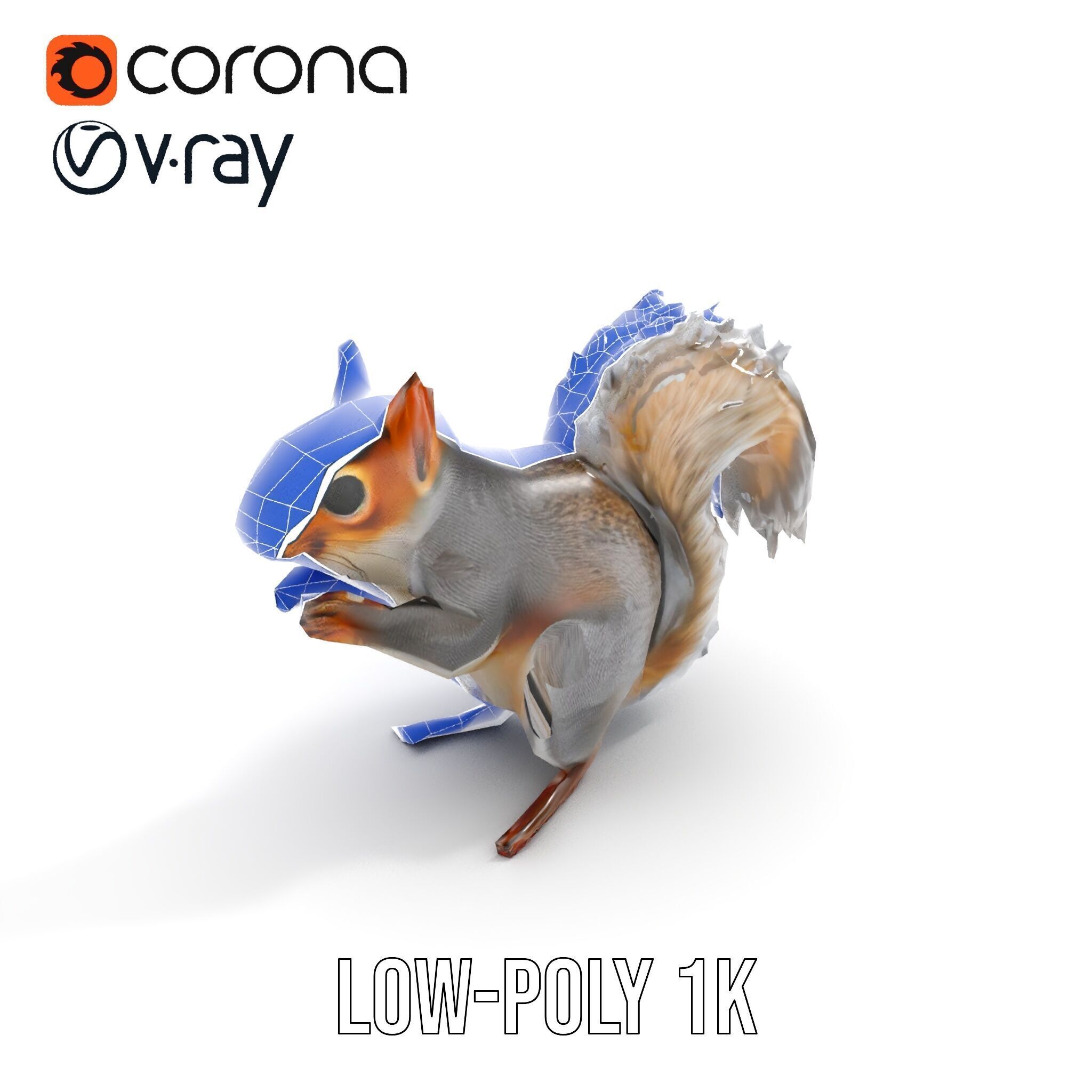 Squirrel Model Pack  Detailed D Animal Model Collection Low-poly 3D model_26