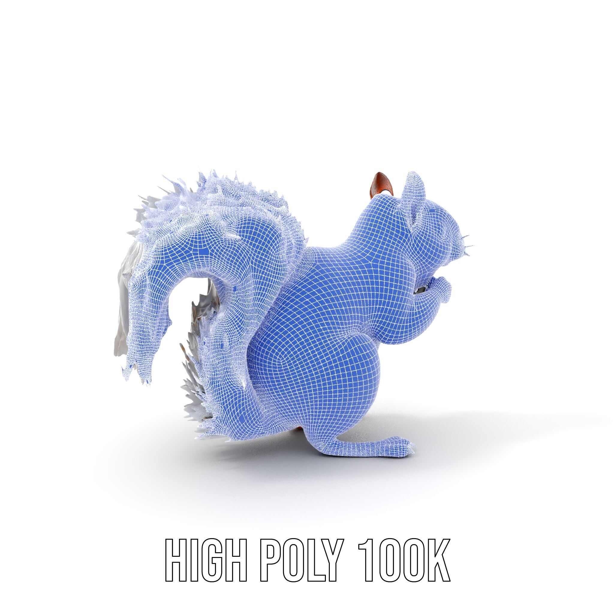 Squirrel Model Pack  Detailed D Animal Model Collection Low-poly 3D model_4