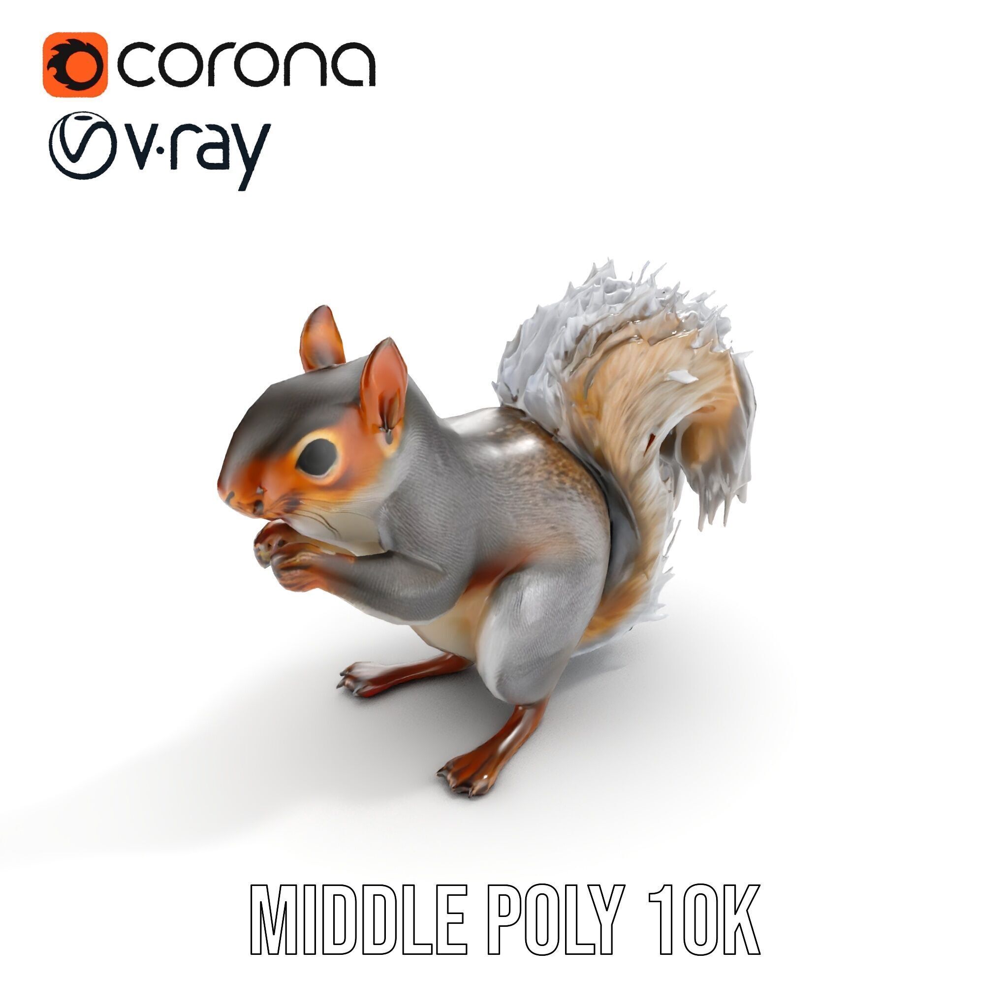 Squirrel Model Pack  Detailed D Animal Model Collection Low-poly 3D model_9