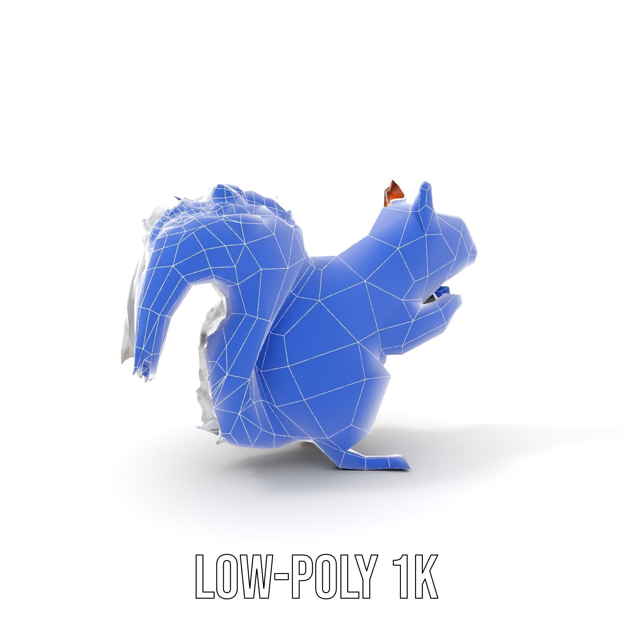 Squirrel Model Pack  Detailed D Animal Model Collection Low-poly 3D model_16