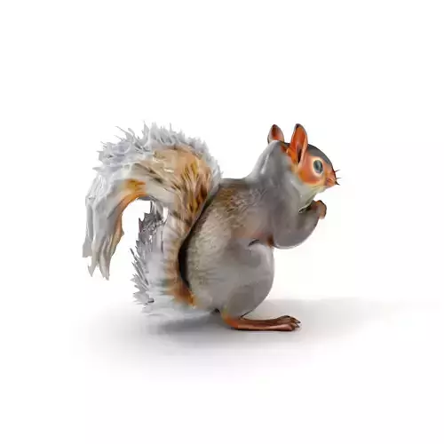Squirrel Model Pack  Detailed D Animal Model Collection Low-poly 3D model