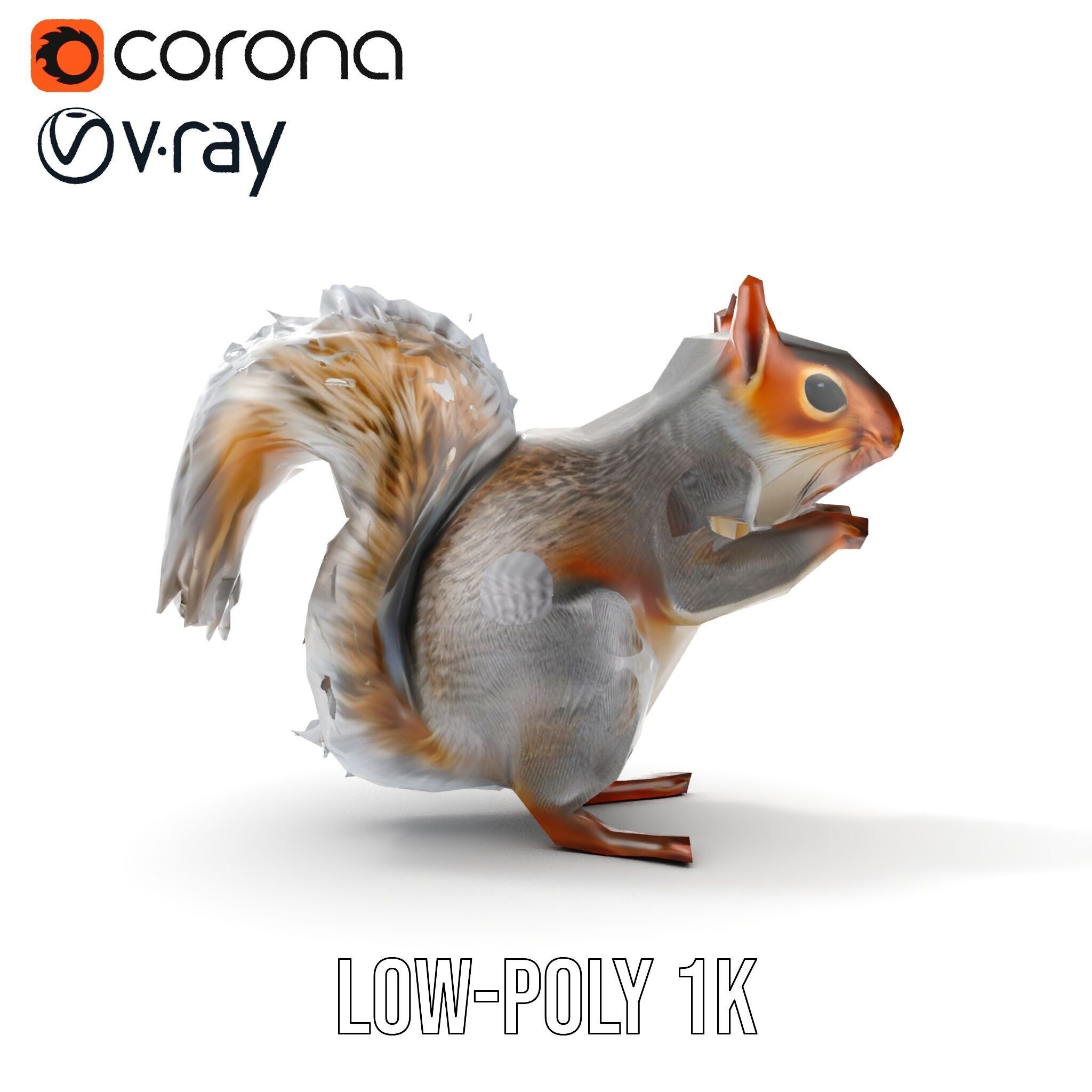 Squirrel Model Pack  Detailed D Animal Model Collection Low-poly 3D model_10
