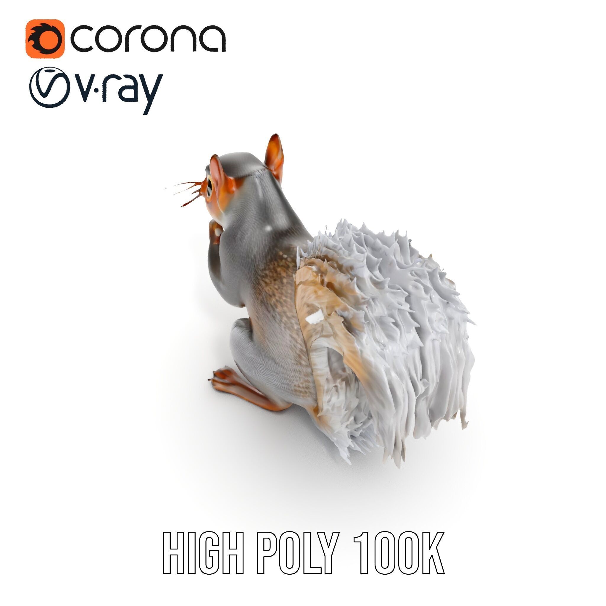 Squirrel Model Pack  Detailed D Animal Model Collection Low-poly 3D model_21