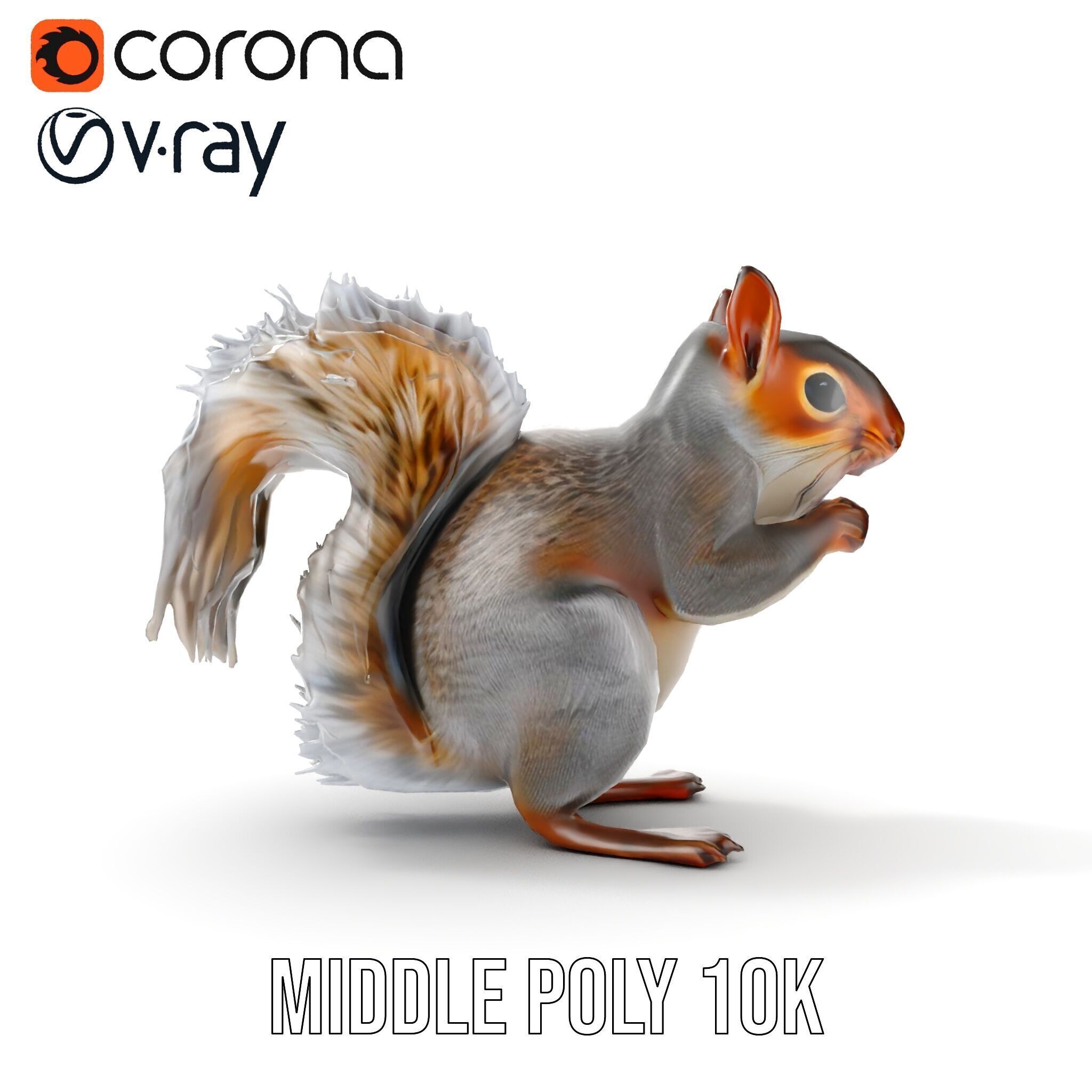 Squirrel Model Pack  Detailed D Animal Model Collection Low-poly 3D model_12