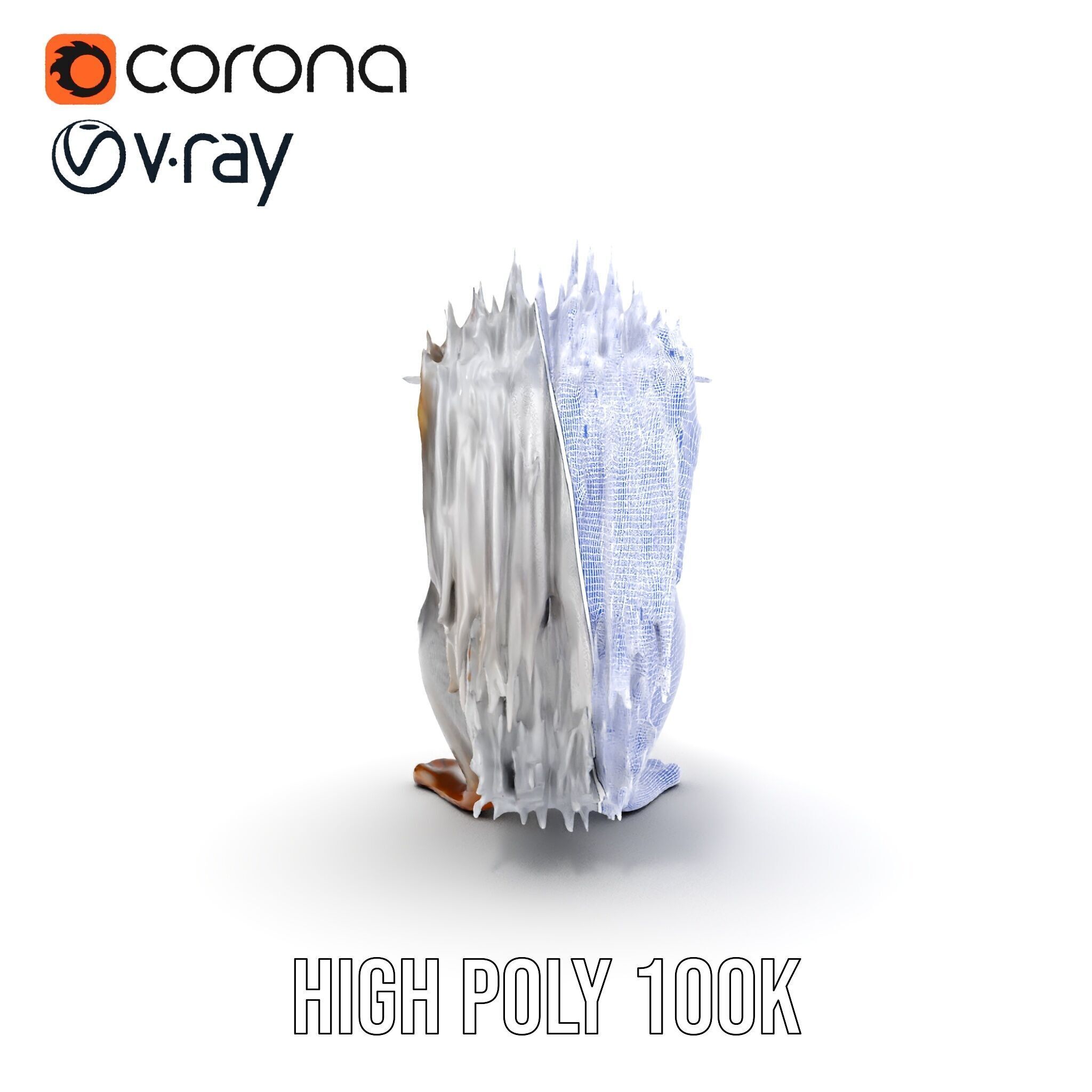 Squirrel Model Pack  Detailed D Animal Model Collection Low-poly 3D model_37