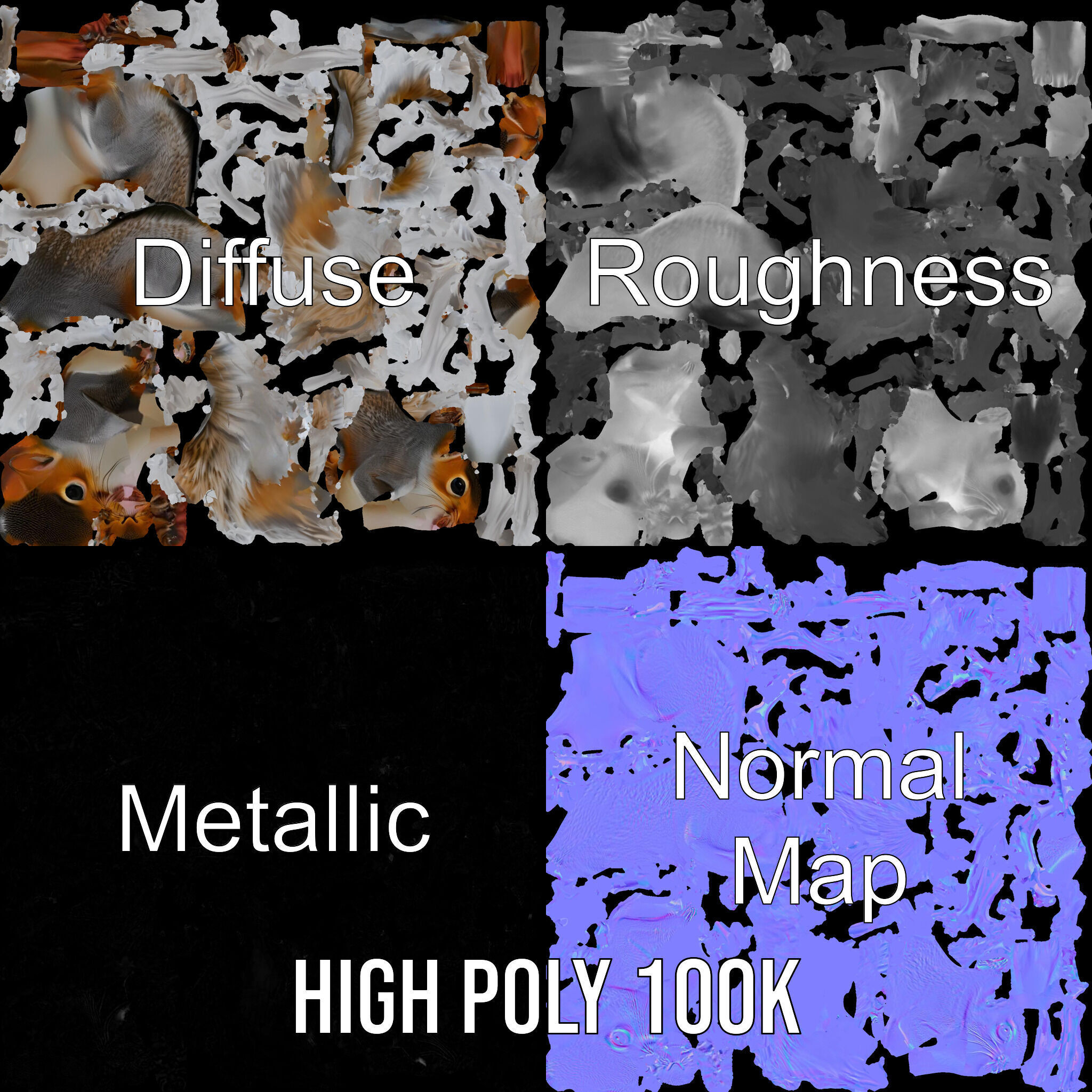 Squirrel Model Pack  Detailed D Animal Model Collection Low-poly 3D model_3