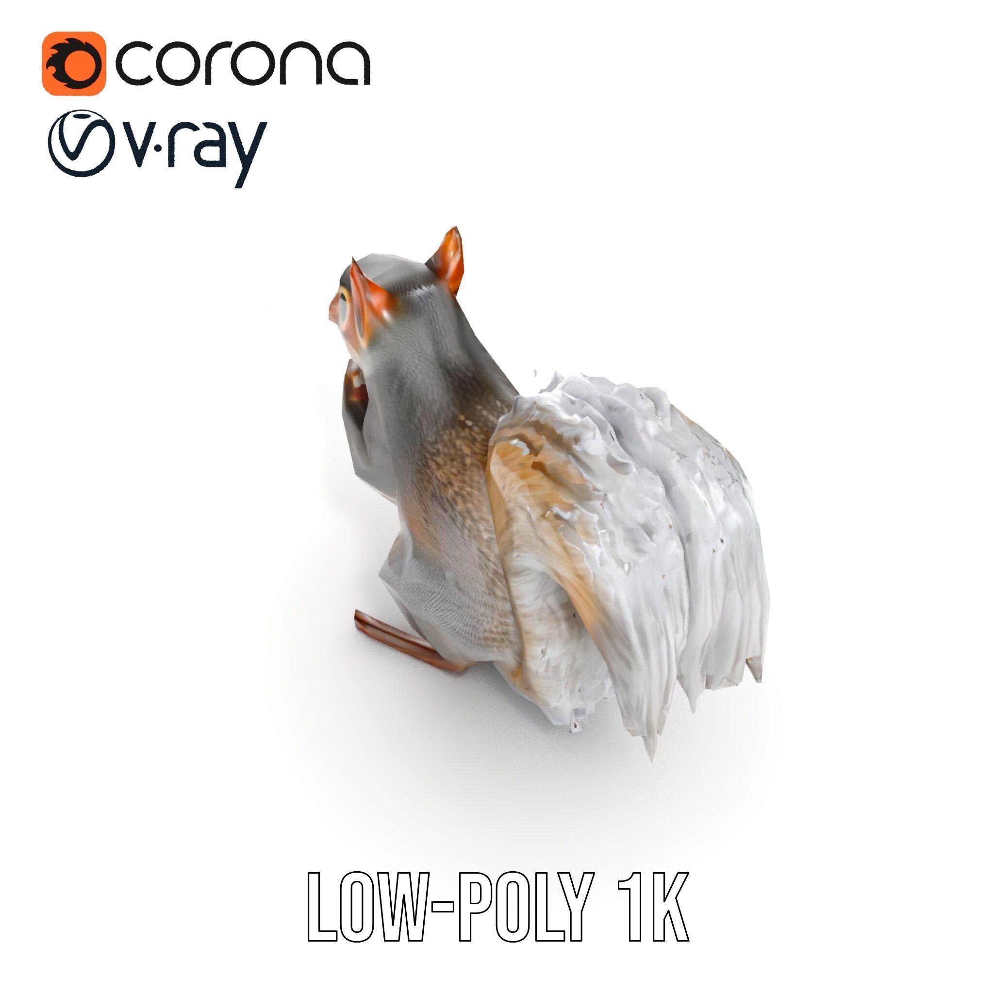 Squirrel Model Pack  Detailed D Animal Model Collection Low-poly 3D model_18