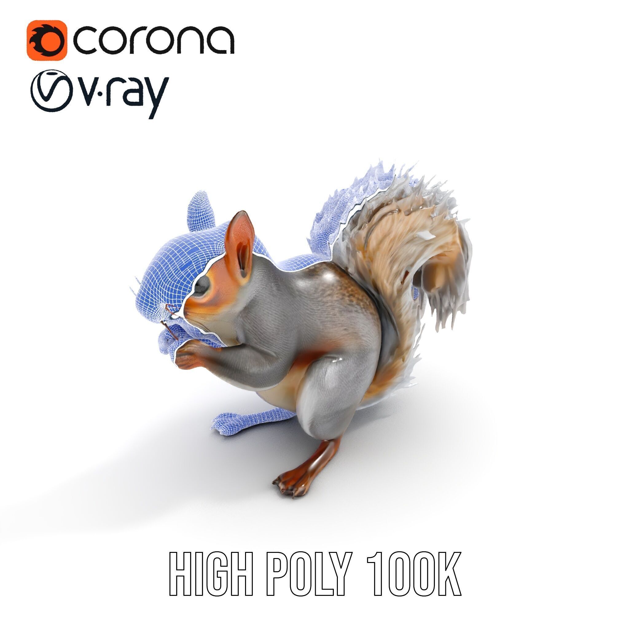Squirrel Model Pack  Detailed D Animal Model Collection Low-poly 3D model_24