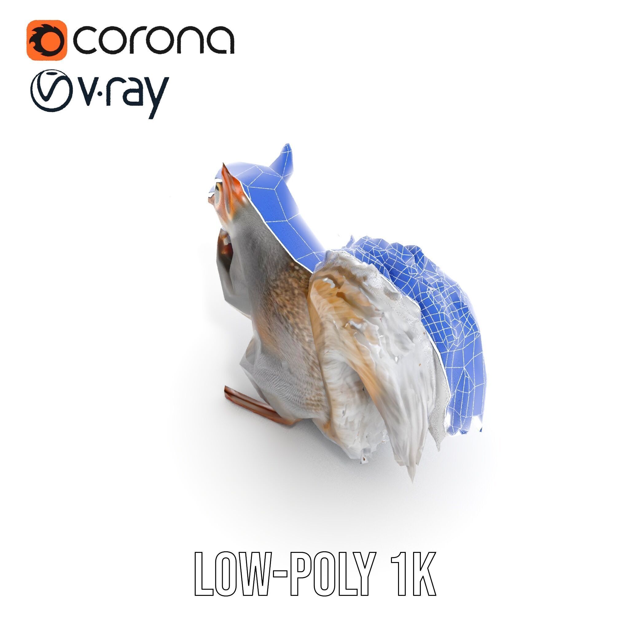 Squirrel Model Pack  Detailed D Animal Model Collection Low-poly 3D model_20