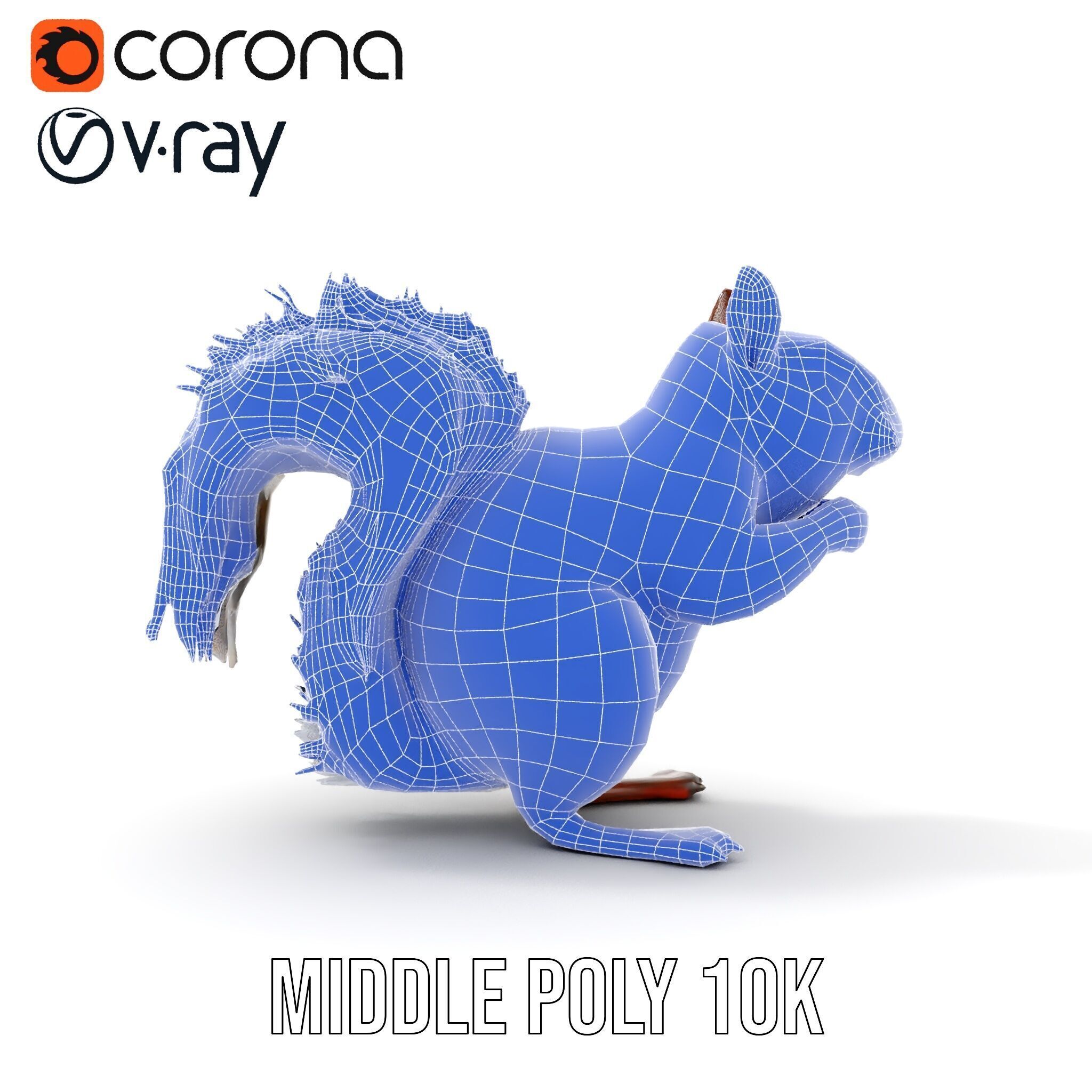 Squirrel Model Pack  Detailed D Animal Model Collection Low-poly 3D model_22