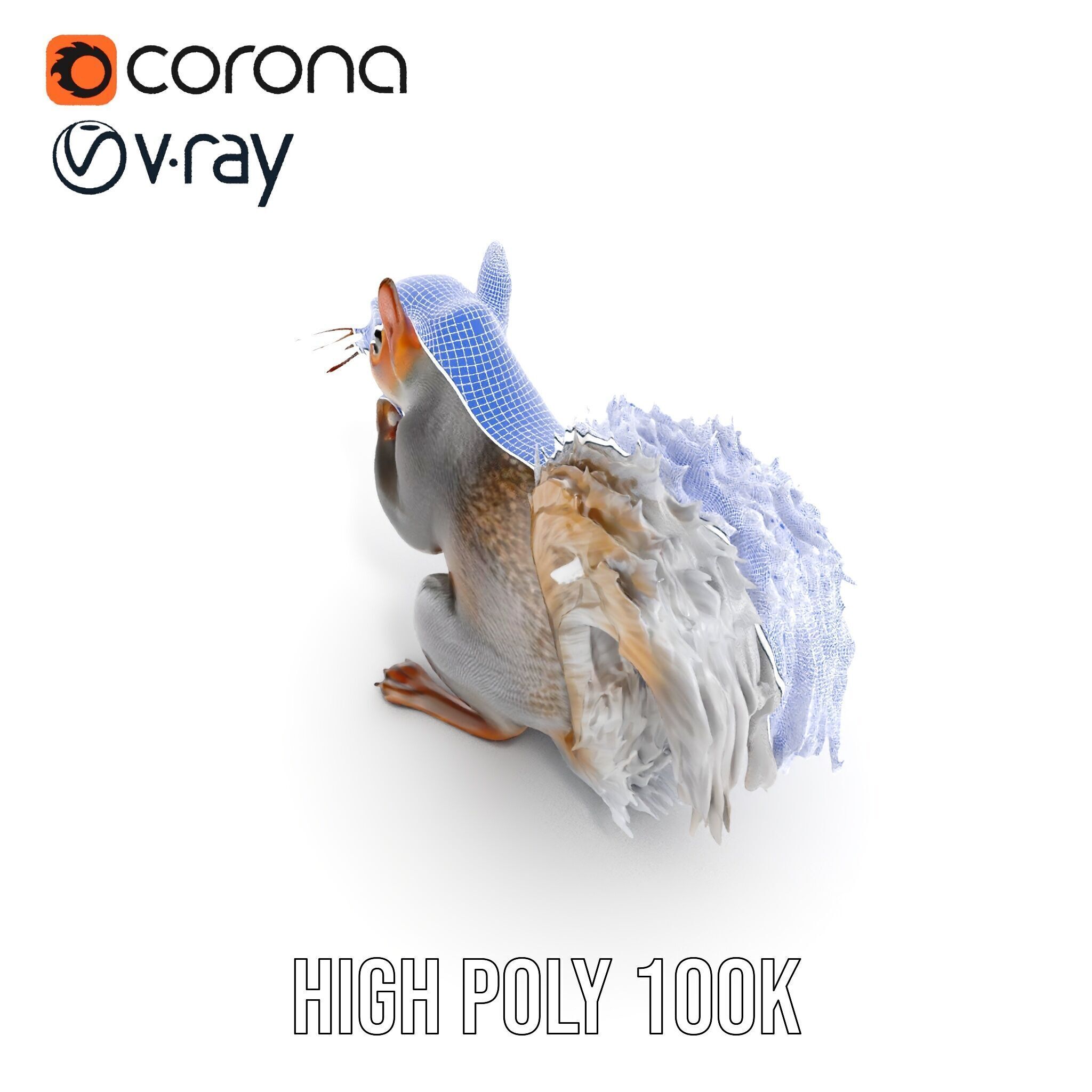 Squirrel Model Pack  Detailed D Animal Model Collection Low-poly 3D model_36